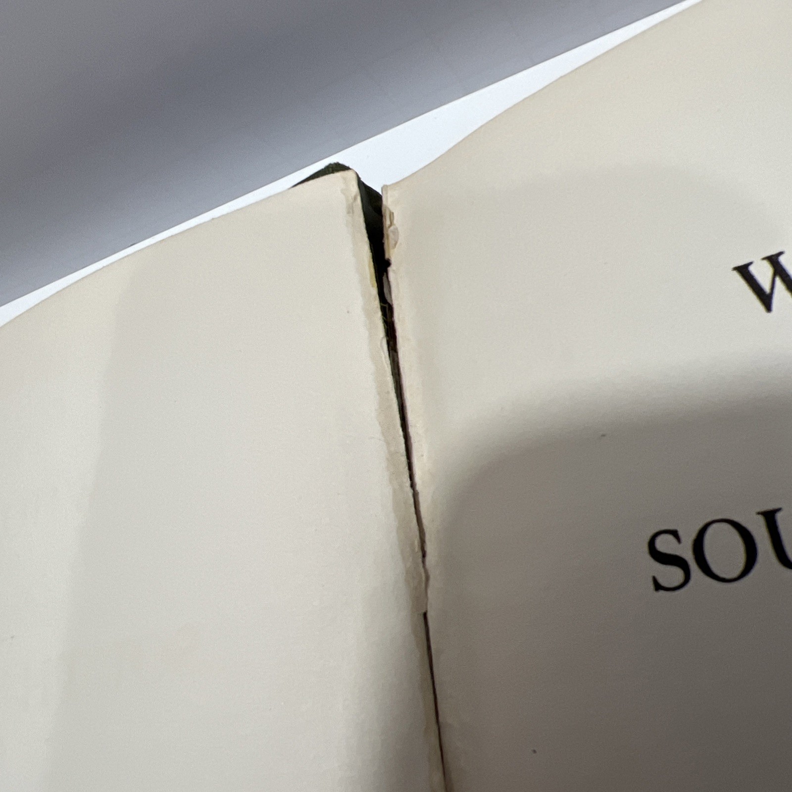 Who’s Who Among South Dakotans, Vol 2 First Edition 1928 Lawrence K. Fox HC Book