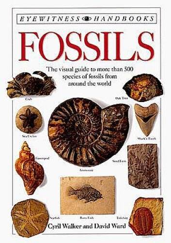 Fossils (DK Handbooks) – Paperback By Ward, David – GOOD