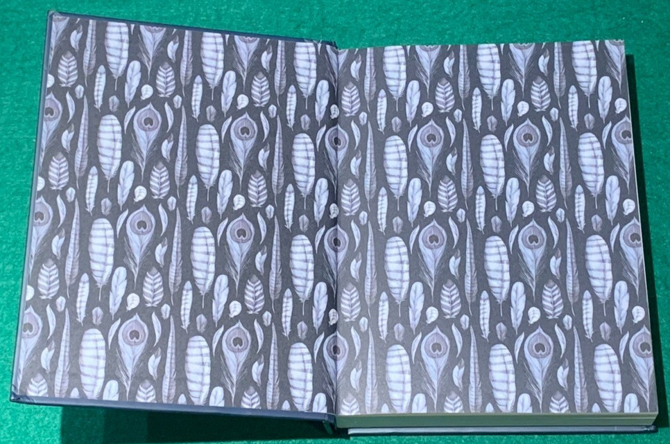 Ornithography by Jessica Roux 1st/1st HC 2024 Birds