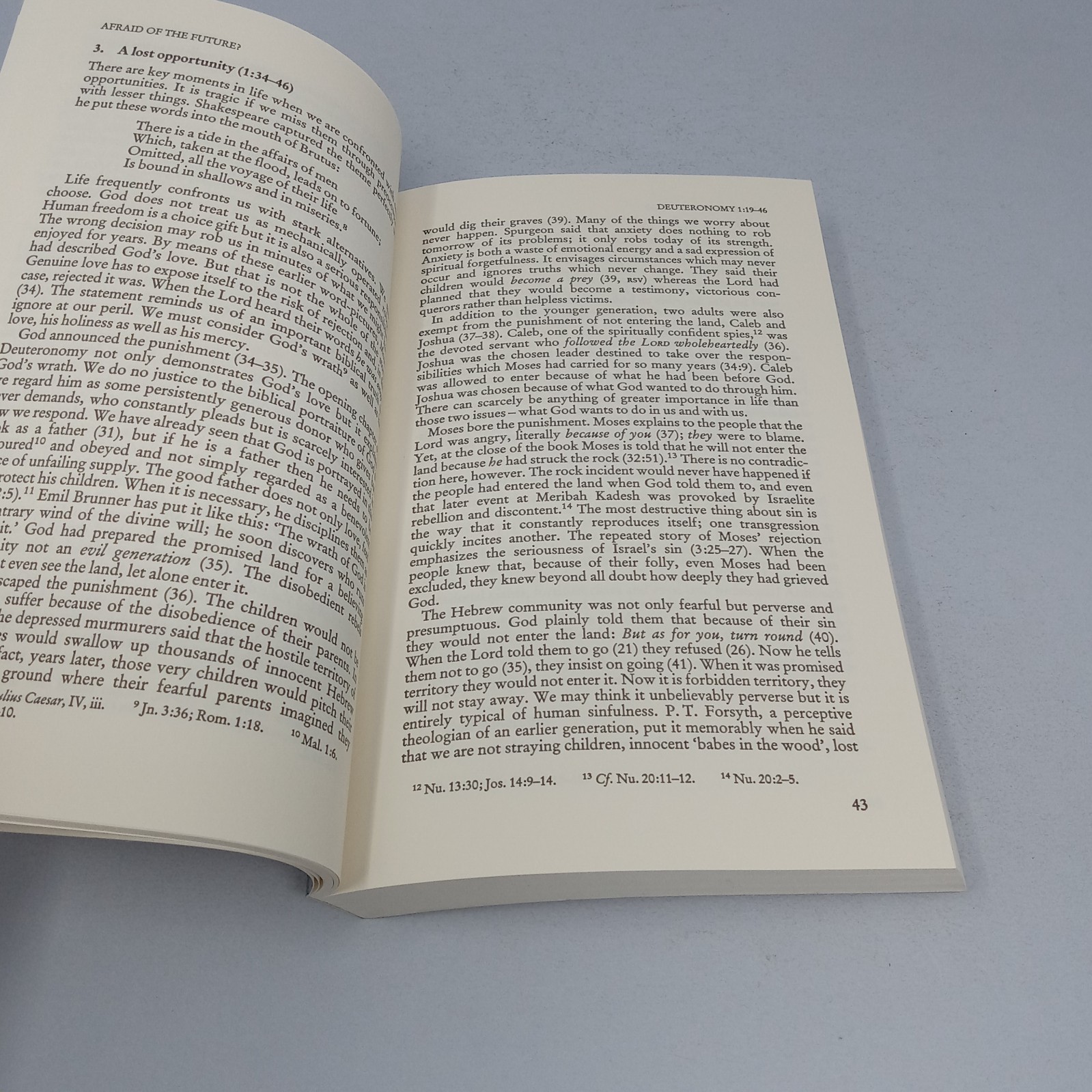 The Message of Deuteronomy 1993 InterVarsity Press Paperback by Raymond E. Brown