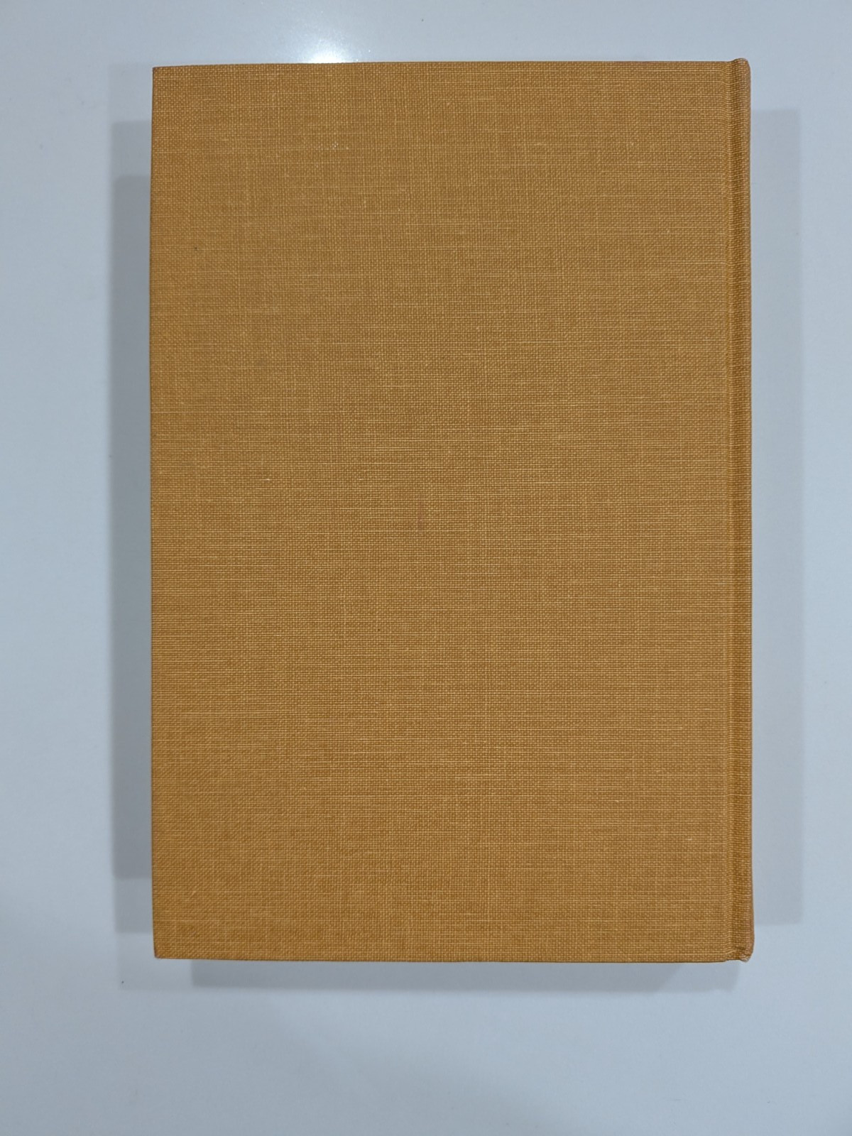The Buchans Orebodies | 1981 GAC Special Paper 22 | Mining Geology Hardcover