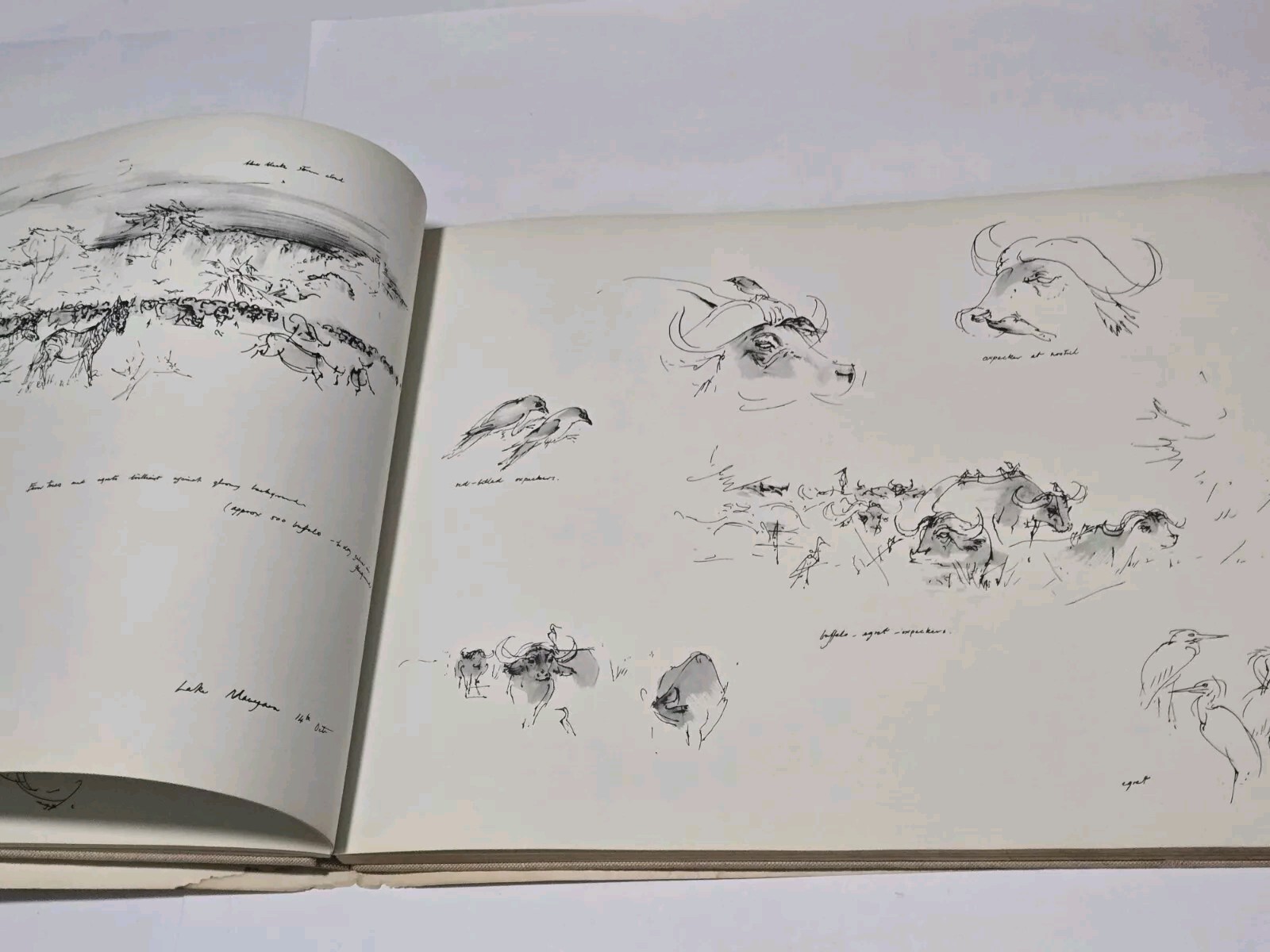 An Artist’s Safari By Ralph Thompson 1970 Hardcover DJ Artist Sketch Book