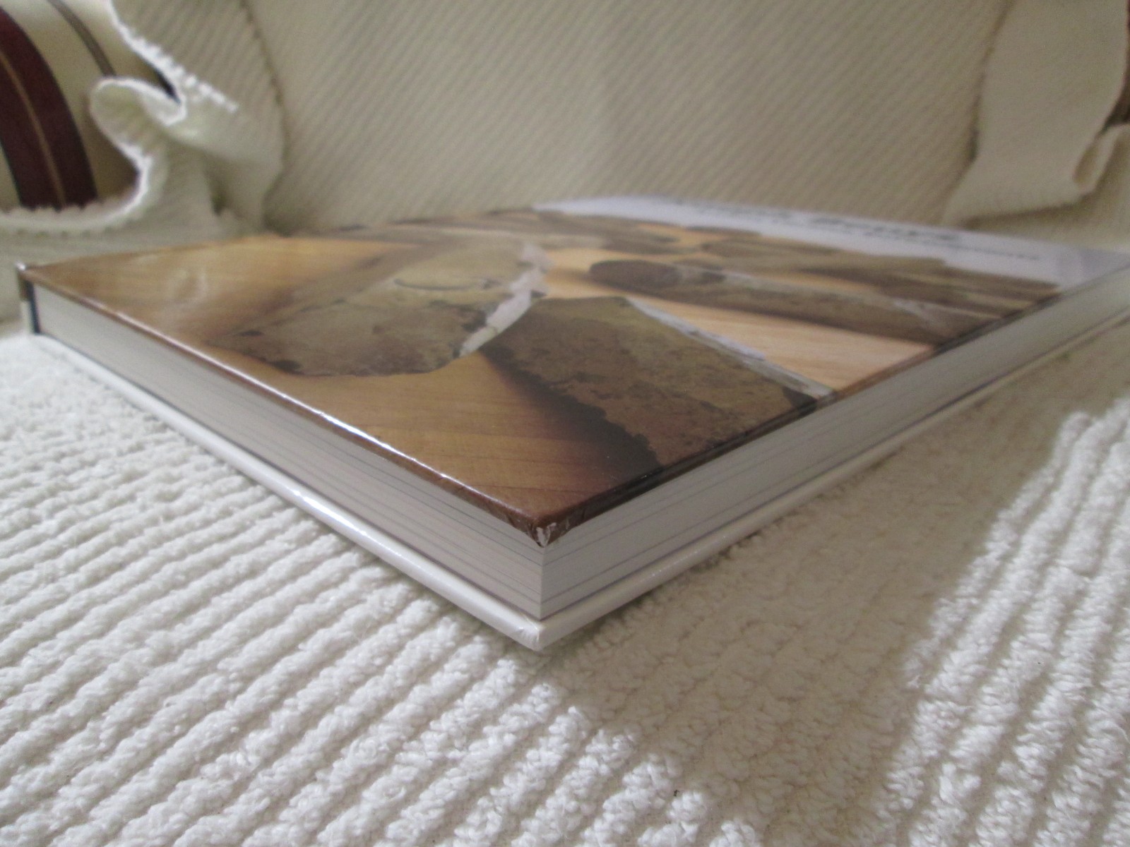 Joseph Beuys: Actions, Vitrines, Environments by Mark Rosenthal Hardcover