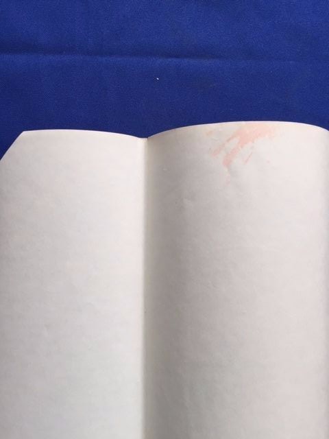 CHASE – FIRST EDITION DEAN R. KOONTZ WRITING AS K.R. DWYER