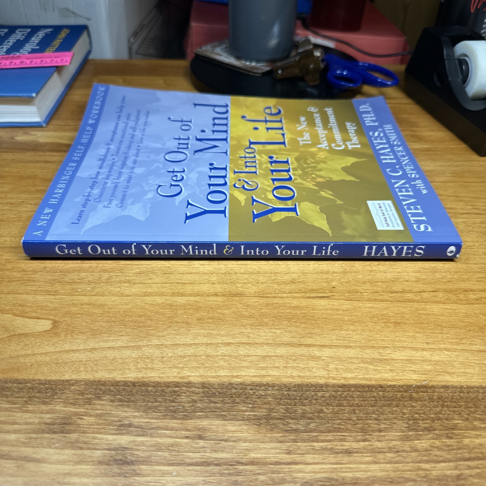 Get Out of Your Mind & into Your Life: Acceptance Commitment Therapy Hayes Clean