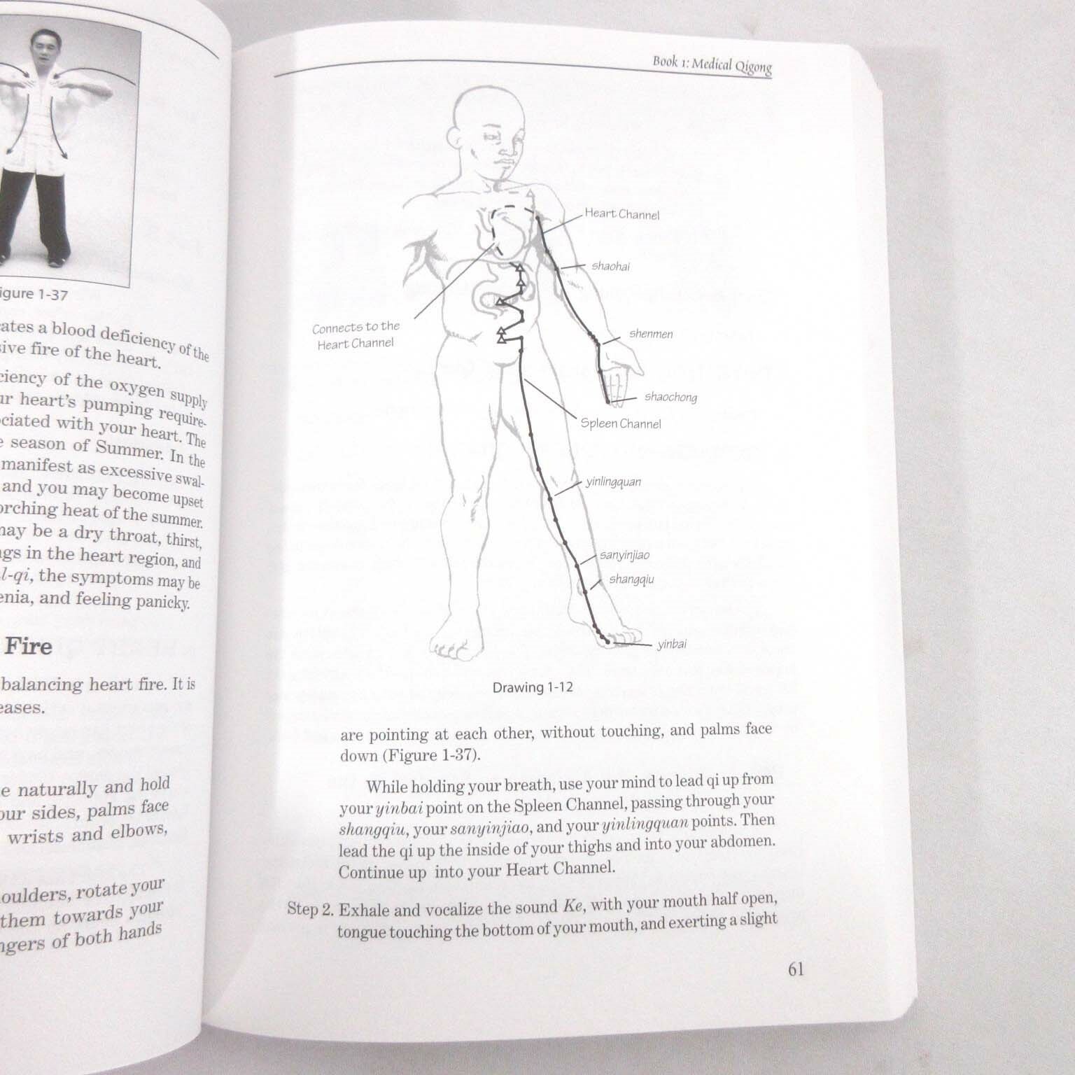 Qigong Empowerment Softcover Book Master Shou-Yu Liang 348 Pages 1997