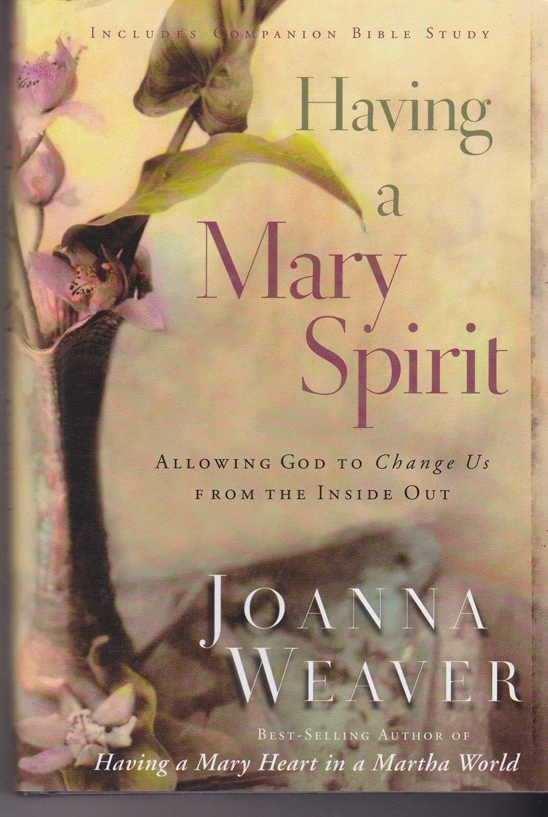 Having A Mary Spirit: Allowing God to Change Us from the Inside Out – Joanna…