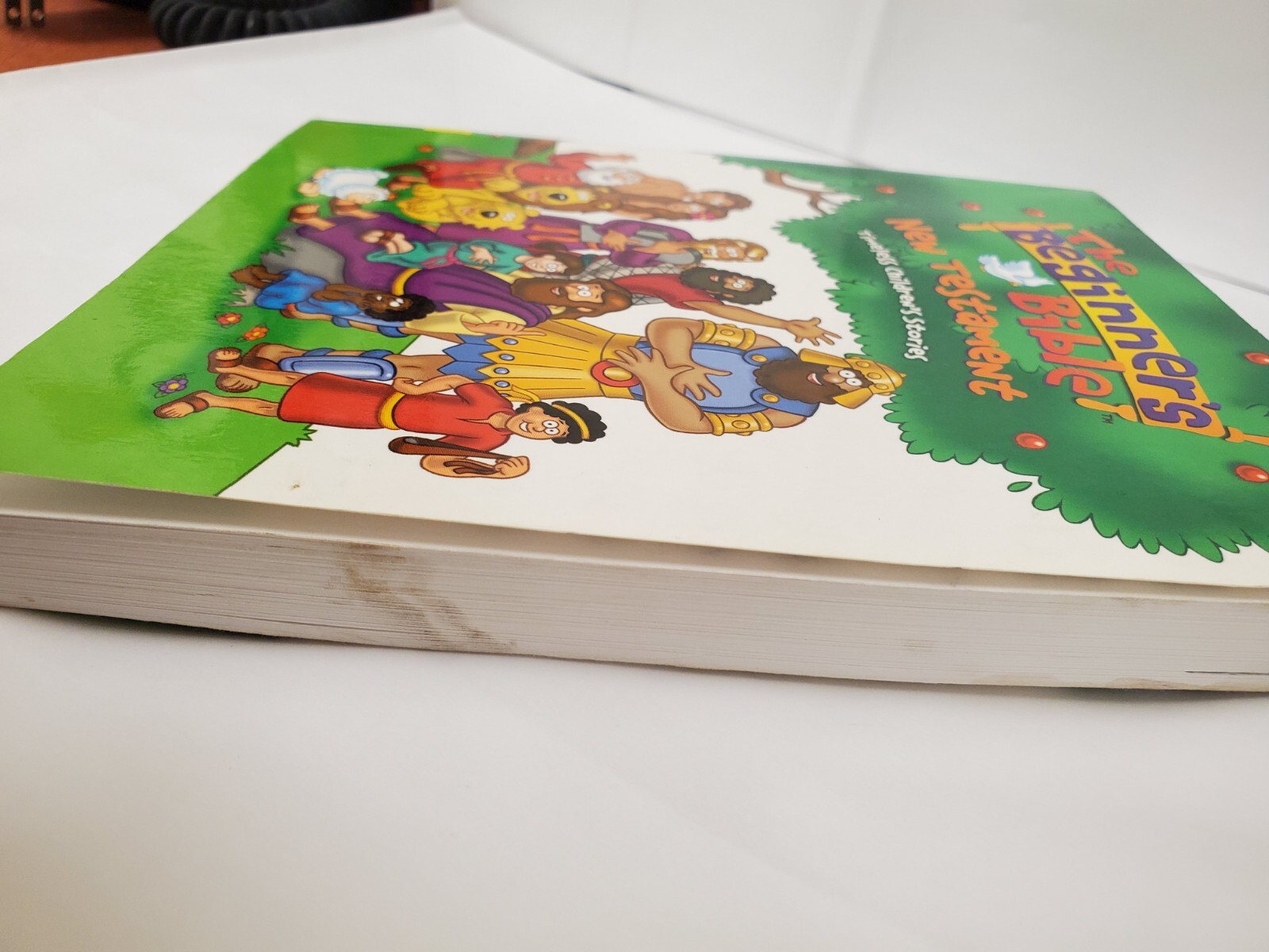 Kid The beginners bible New Testament