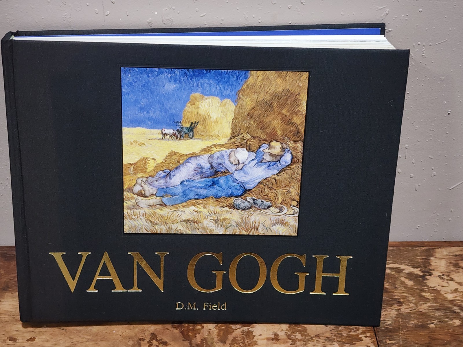 Van Gogh DM FIELD (Hardcover)