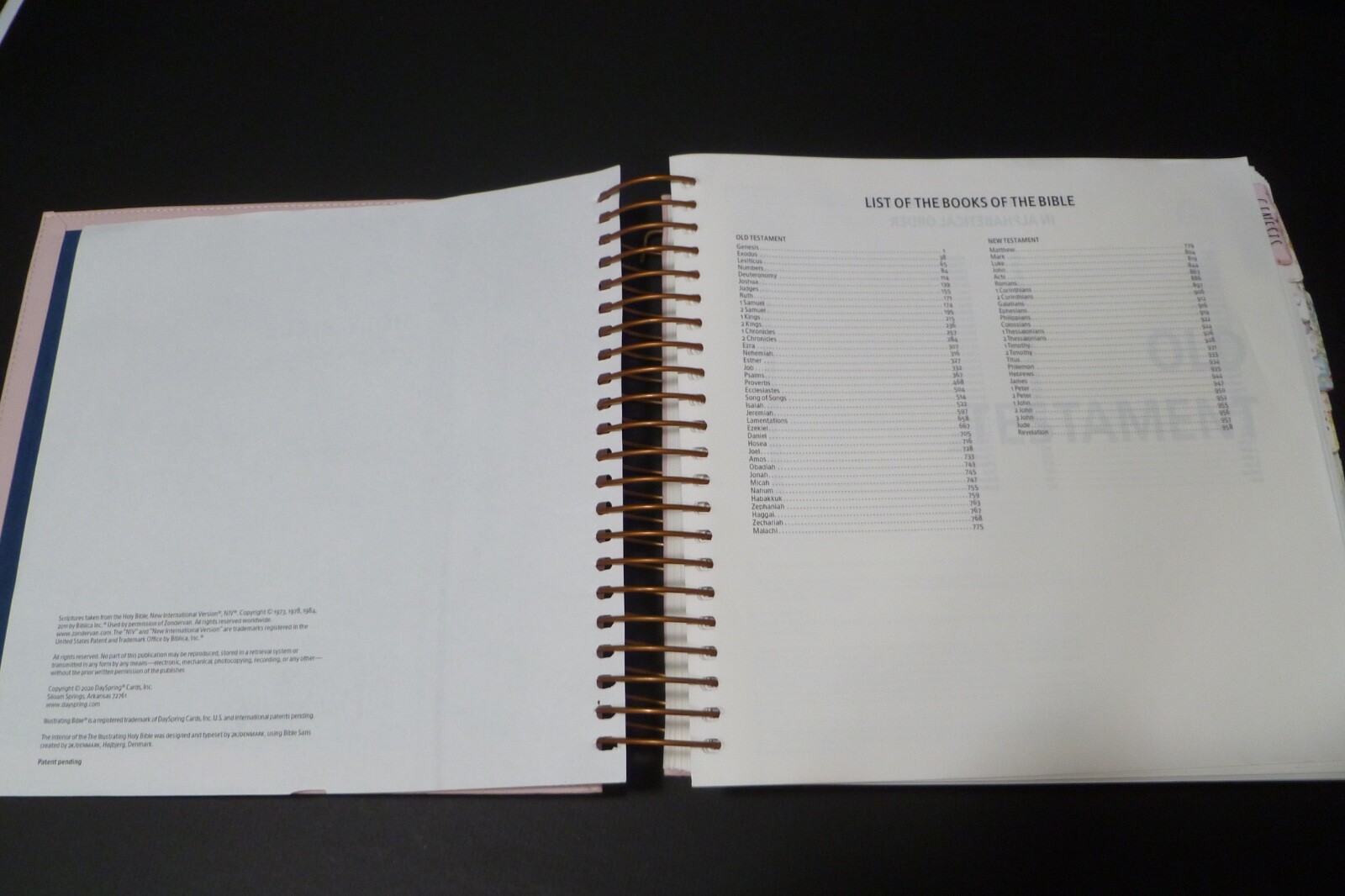 Illustrating Bible NIV Pink by Dayspring (2020, Spiral)