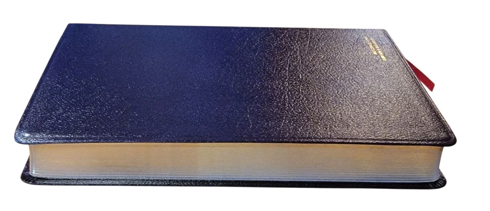 Zondervan NASB Thinline Bible – Italian Duo Tone Leathersoft