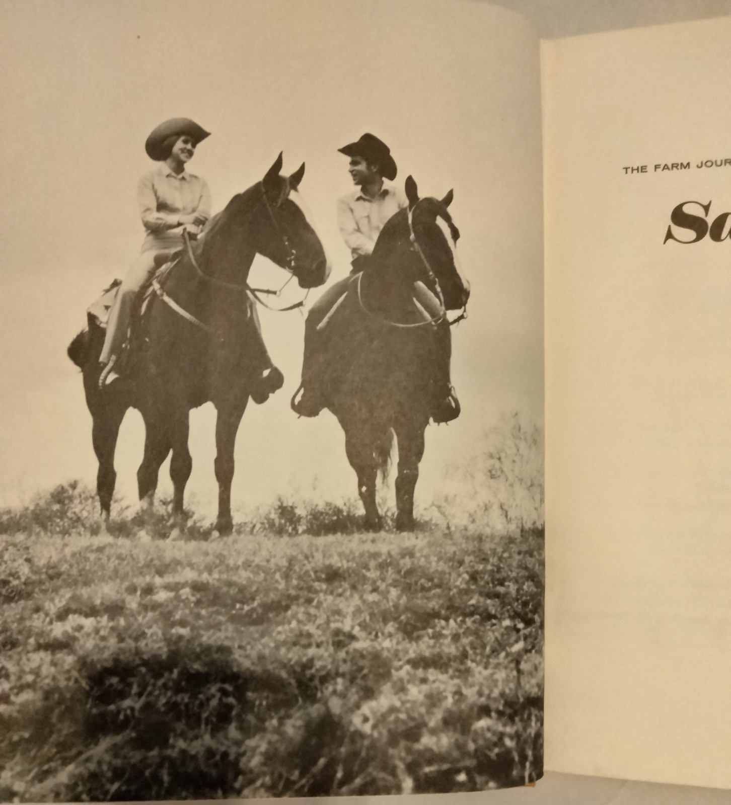 Saddle Up! by Charles E Ball 1970 HB Illus.