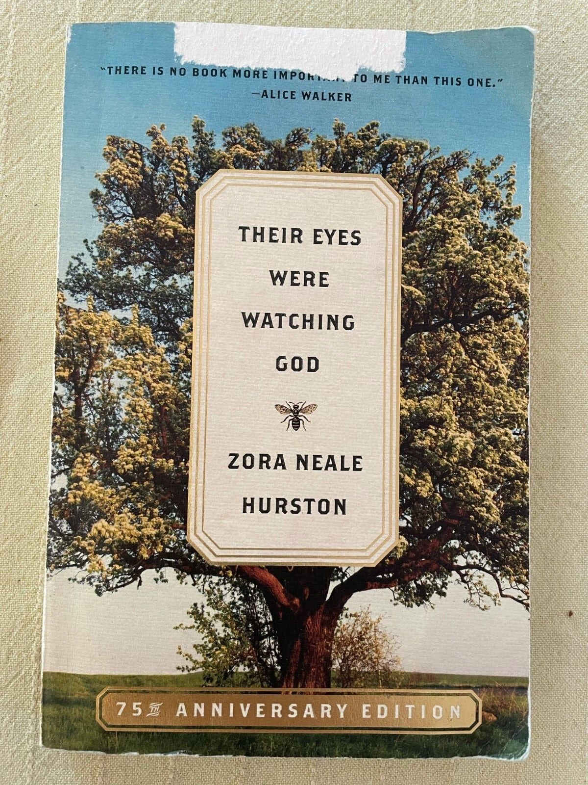 P. S. Ser.: Their Eyes Were Watching God : A Novel by Zora Neale Hurston (2013,