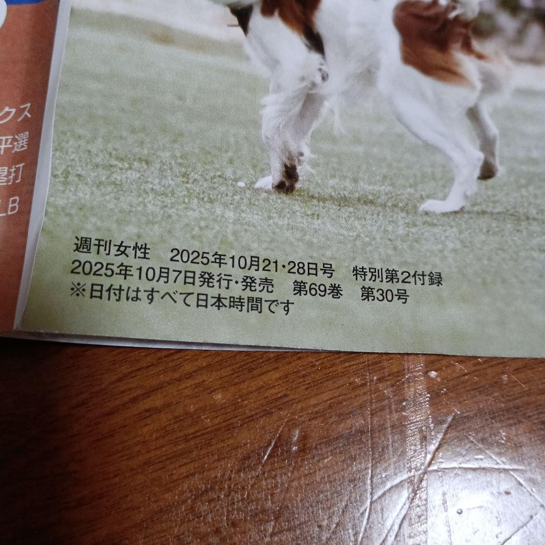 Weekly Josei October 21st and 28th 2025 issue special supplement: Best p #QY6V8F