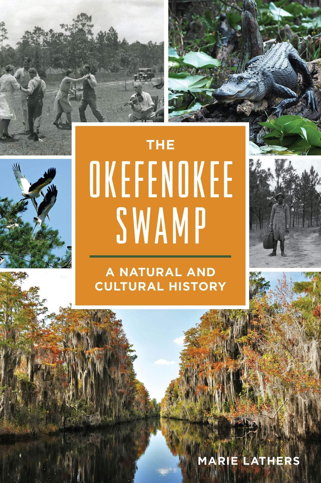 NEW The History Press The Okefenokee Swamp, 9781467157667 Trade Paperback