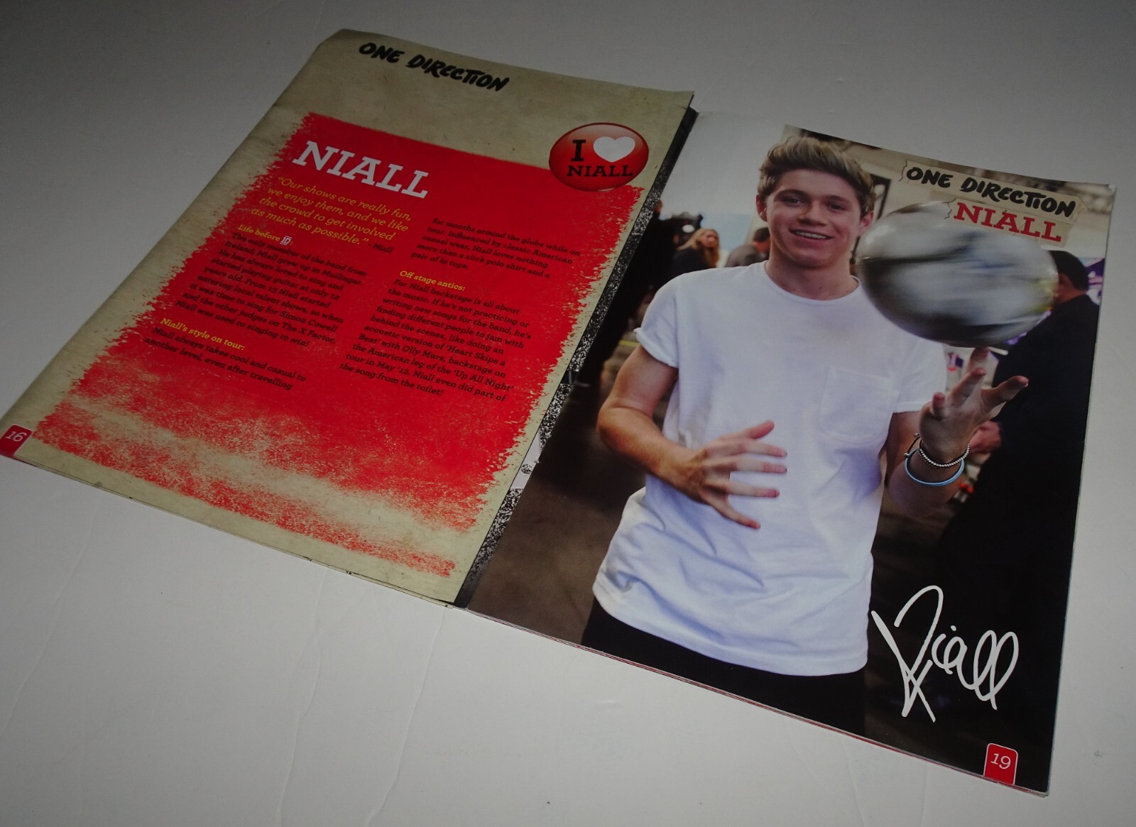 The Official One Direction Special Tour Edition Poster Book LIAM PAYNE R.I.P