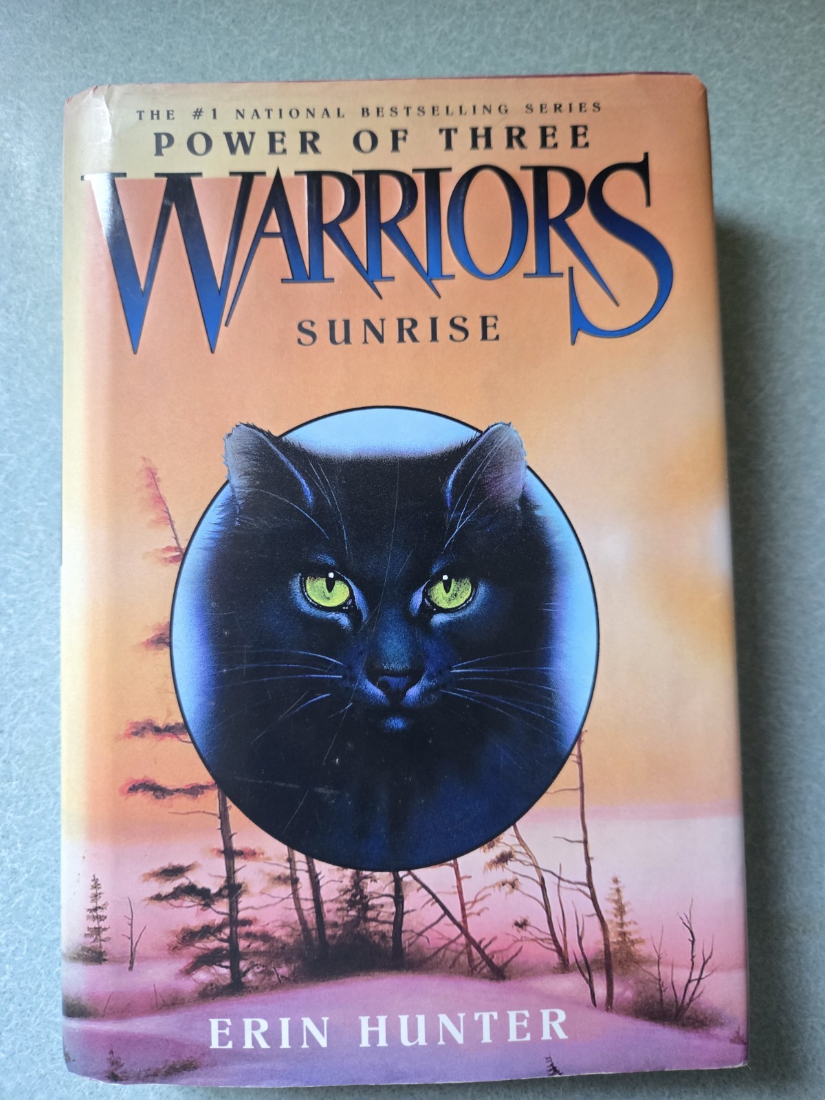 Erin Hunter Warriors Arc 3: Power of Three 1-6 Hardcover Set w/ Dust Jacket