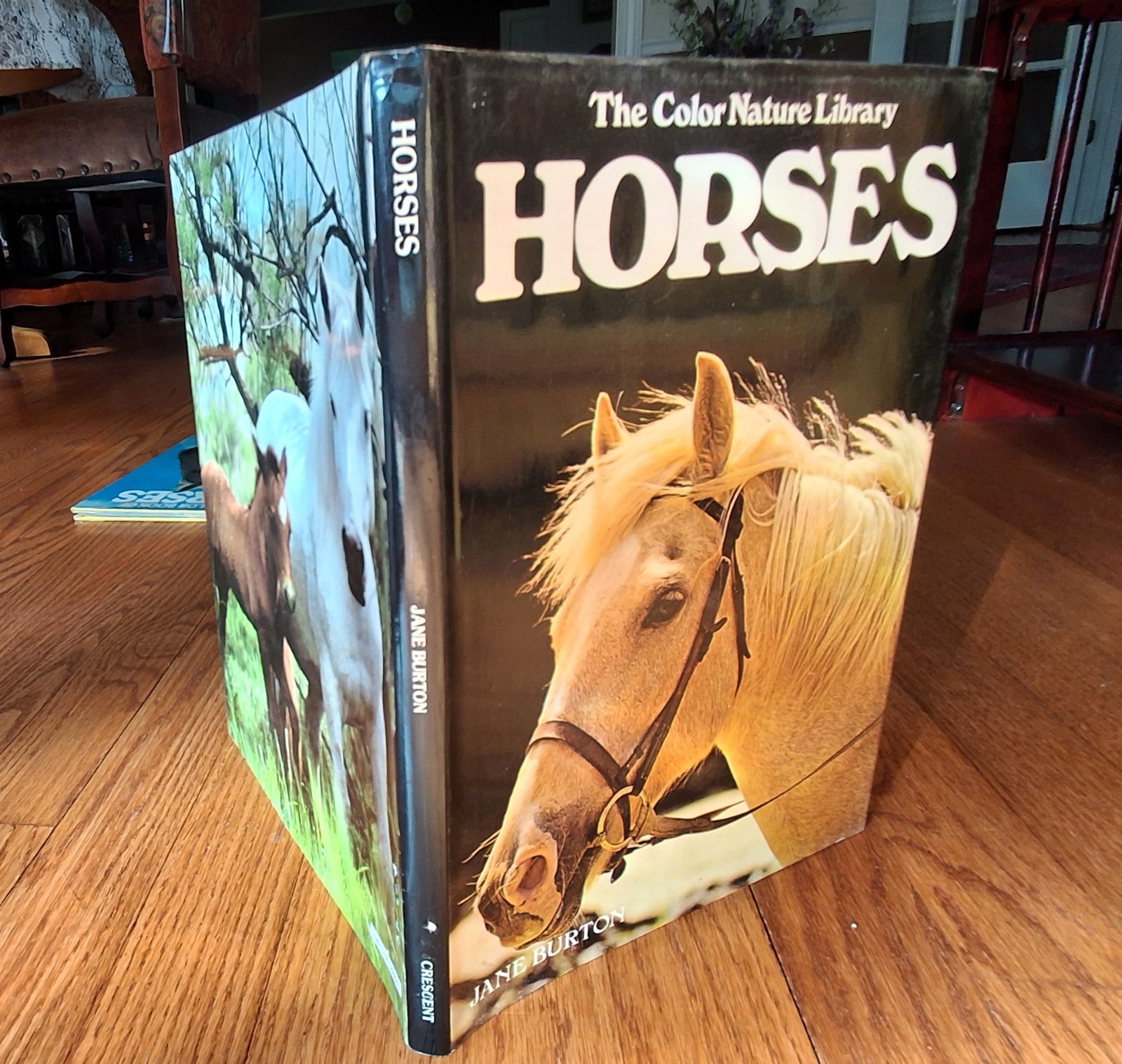 Horse Equestrian Picture Books Riding Horsemanship Horses 1970s Lot of 3 HCDJVG