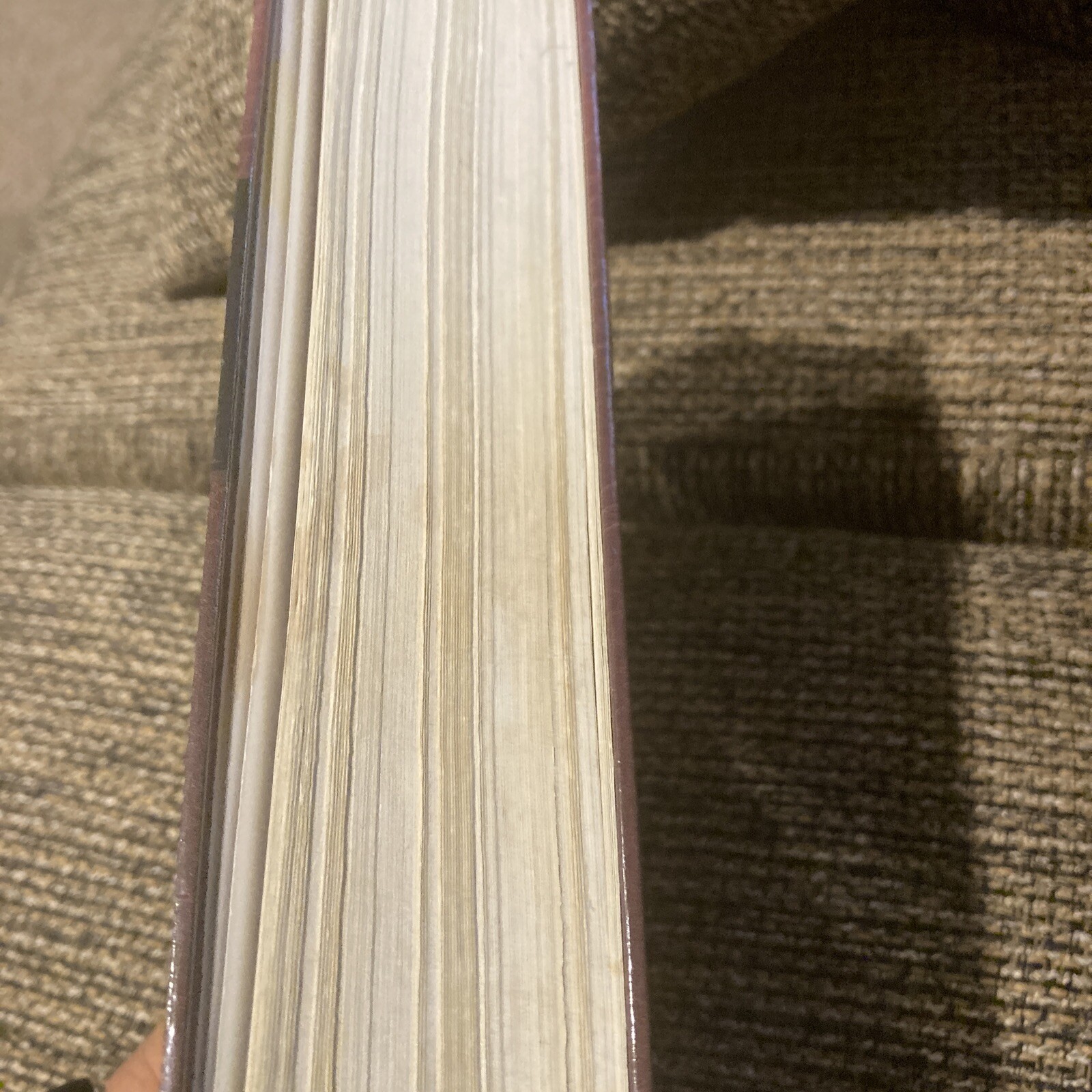 Prophecy Marked Reference Study Bible by Grant R. Jeffrey (Hardcover)