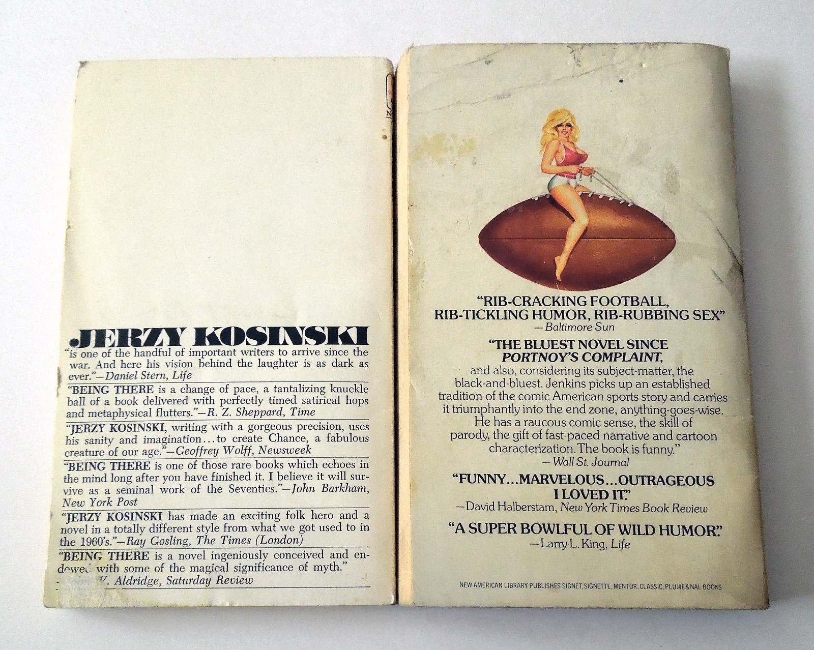 Lot of 20 Vintage 1970s Fiction Pocketbooks: Snow Bound, Being There, +18