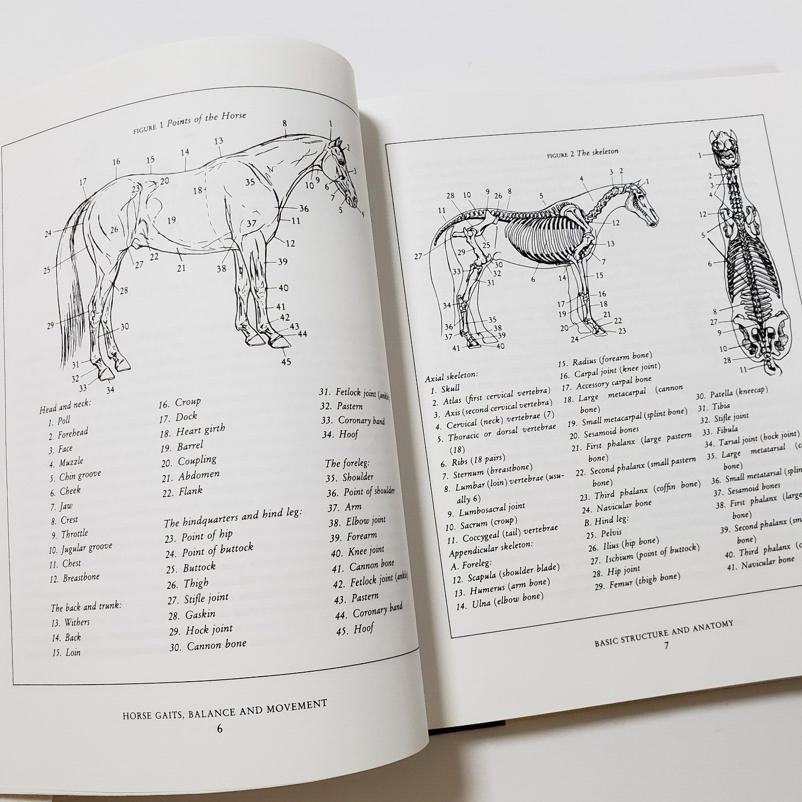 Horse Gaits, Balance and Movement by Susan E. Harris 1993 HC DJ