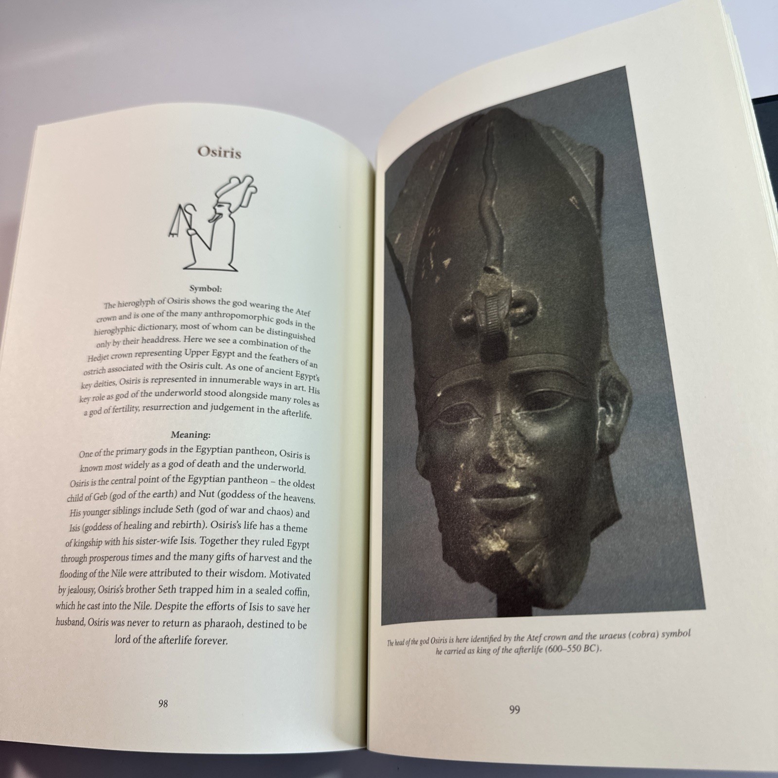 Ancient Egyptian Hieroglyphs Illustrated by Trevor Naylor 2025 Pr. Amber