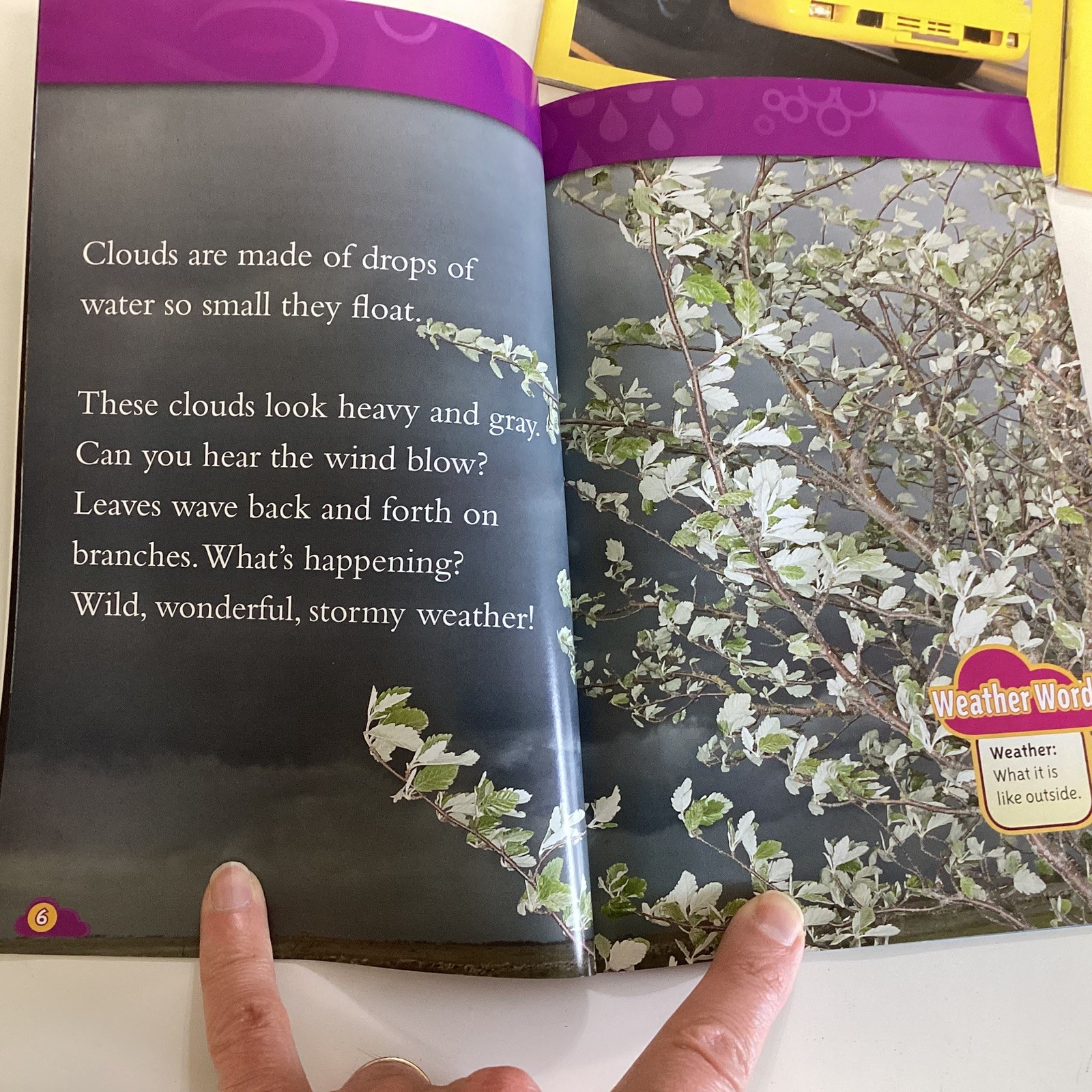 National Geographic Pre Level 1 & 2 Readers Kindergarten 1st Grade 14 Book Lot