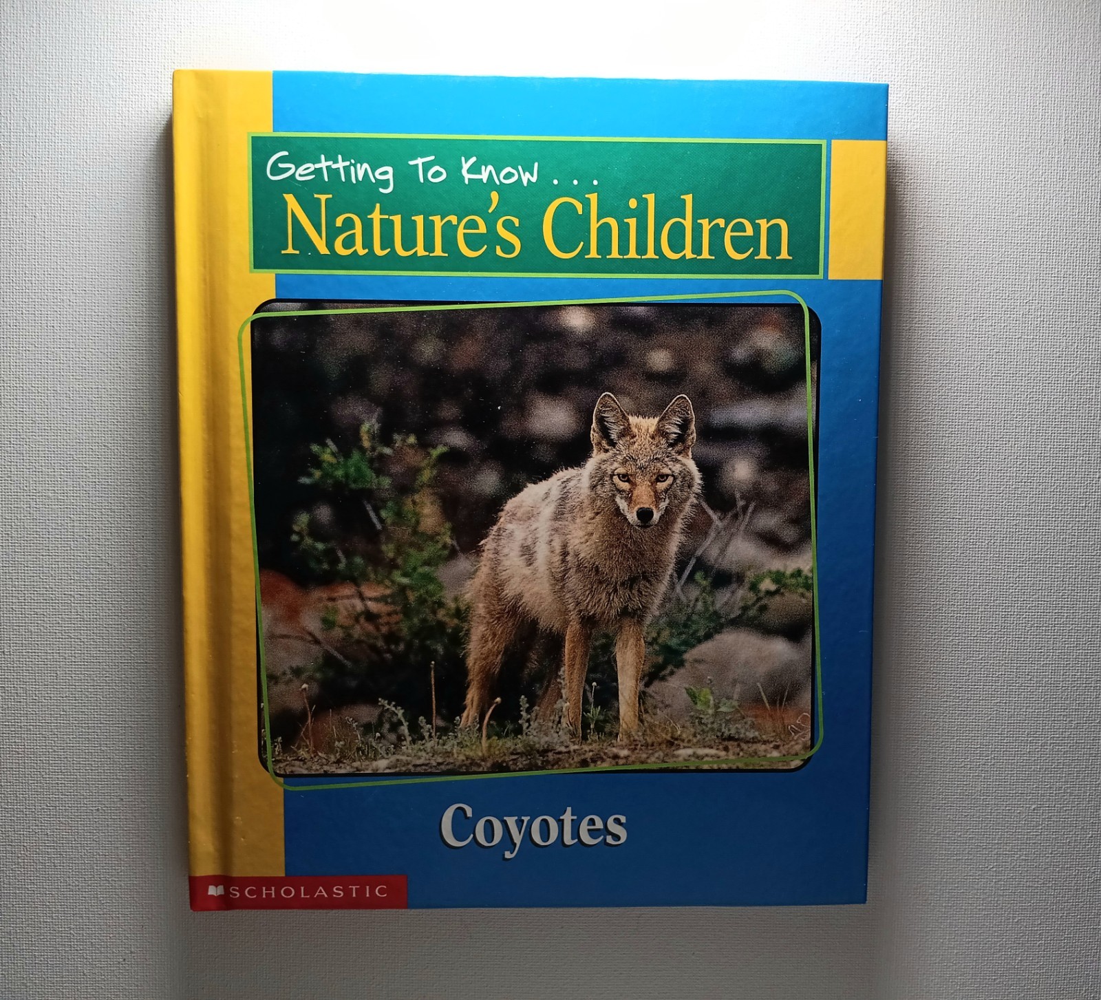 Scholastic Getting to know Nature’s children Animal Books Lot of 6 (hard cover)