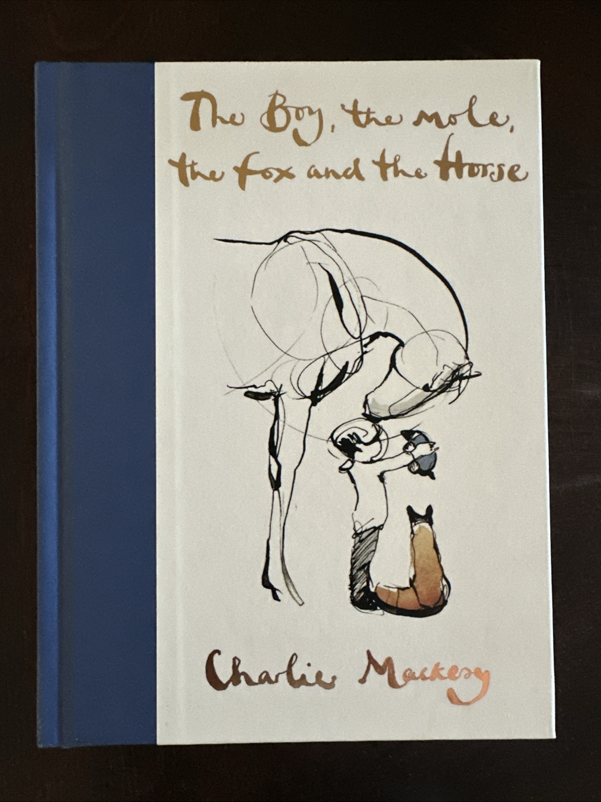 The Boy, the Mole the Fox & the Horse Charlie Mackesy Hardcover 1st Edition Book