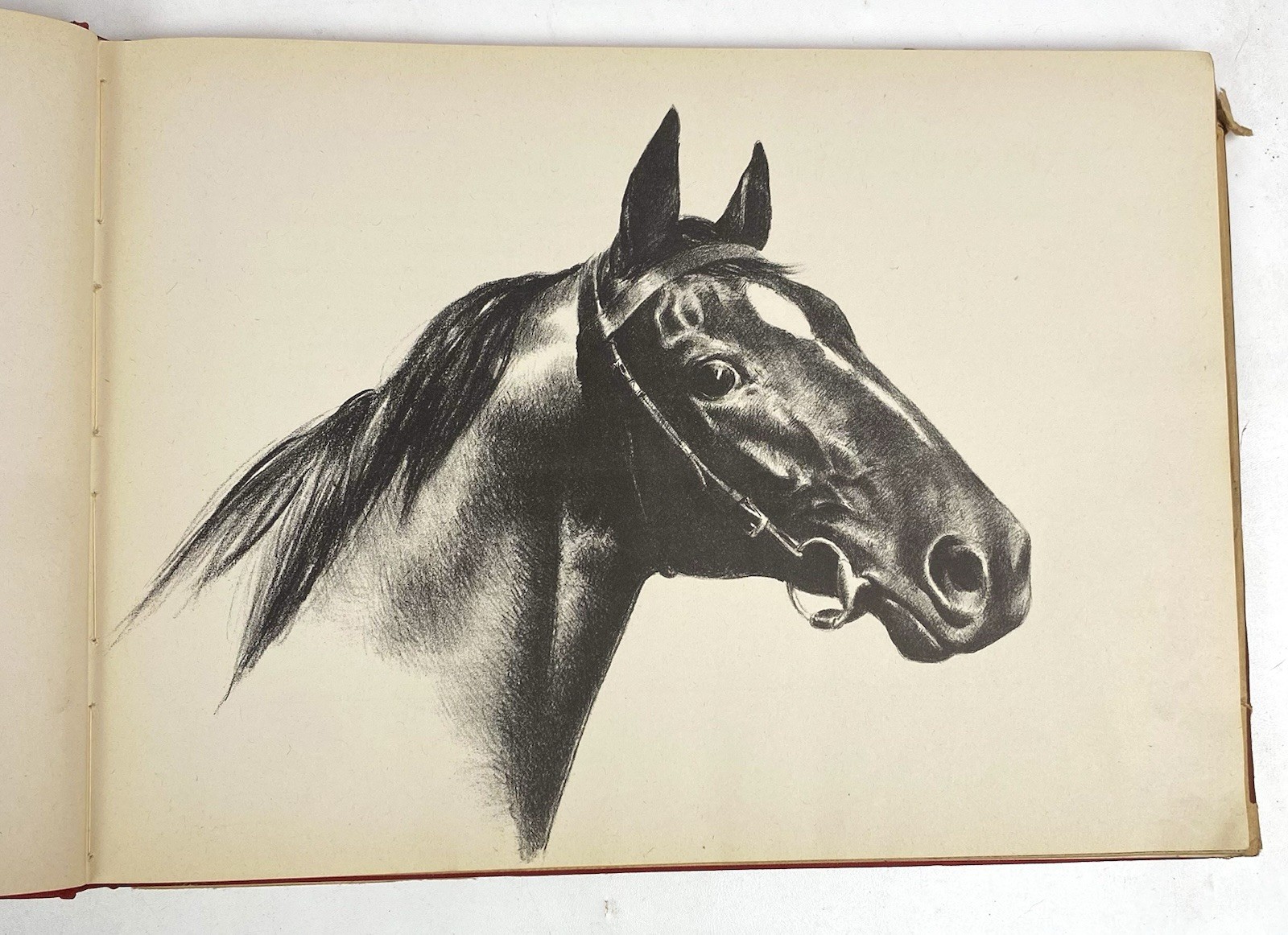Black, Bay and Chestnut: Profiles of Twenty-Favorite Horses by C.W Anderson 1939