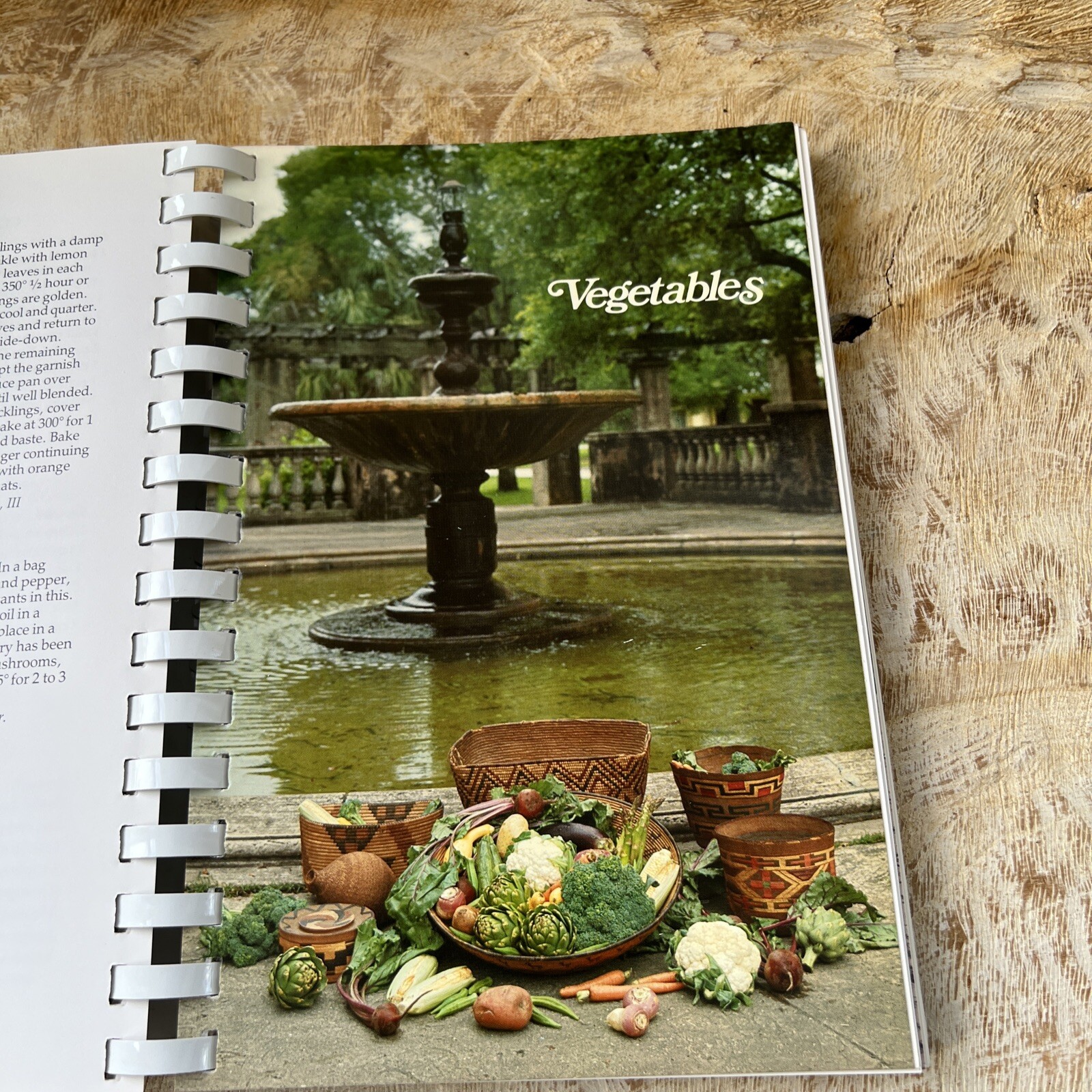Seasons in the Sun by Beaux Arts Lowe Art Musuem University of Miami Cookbook 84