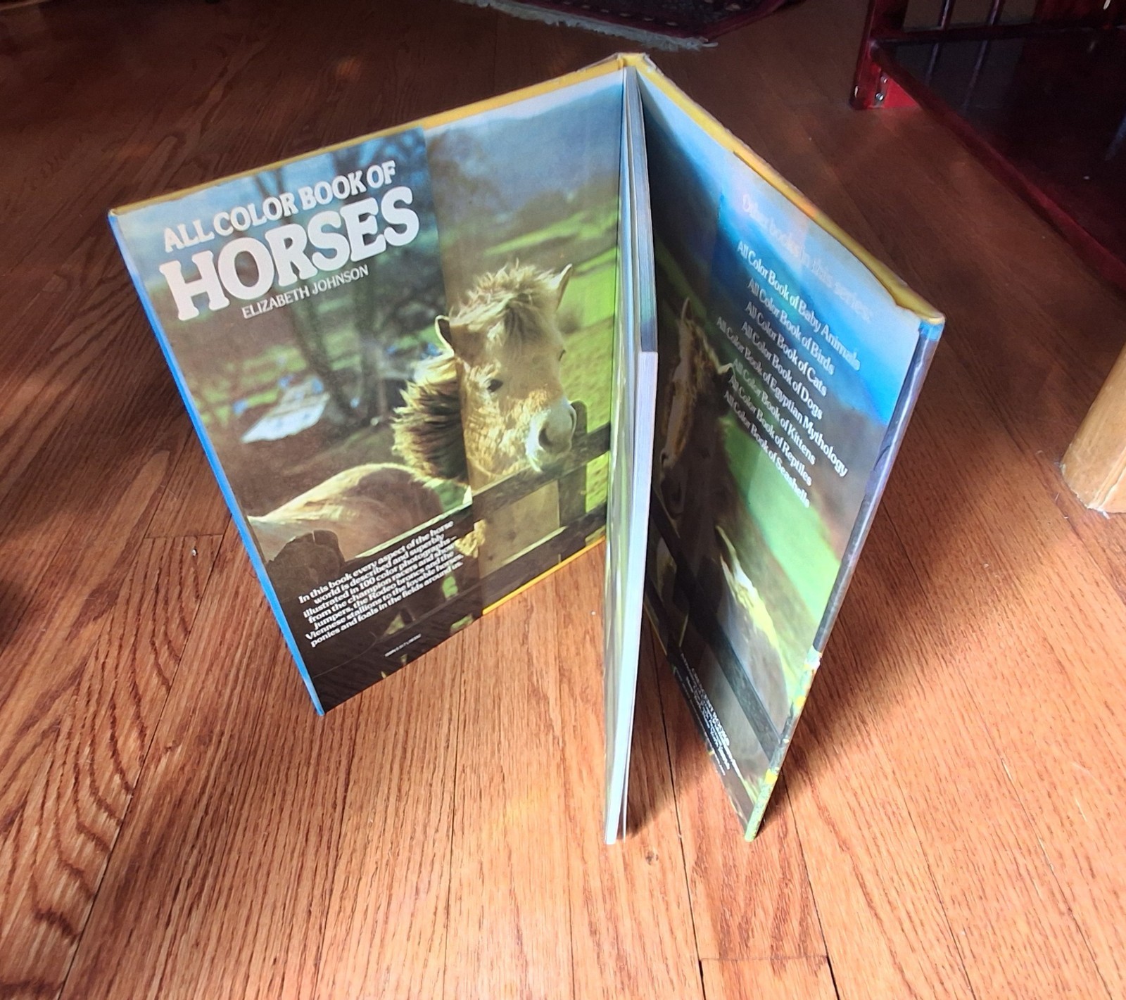 Horse Equestrian Picture Books Riding Horsemanship Horses 1970s Lot of 3 HCDJVG
