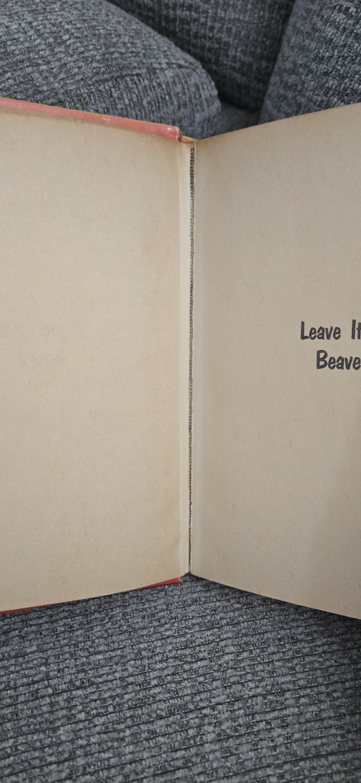 Leave it to Beaver Cole Fannin 1962 HC Whitman Publishing Television tie-in