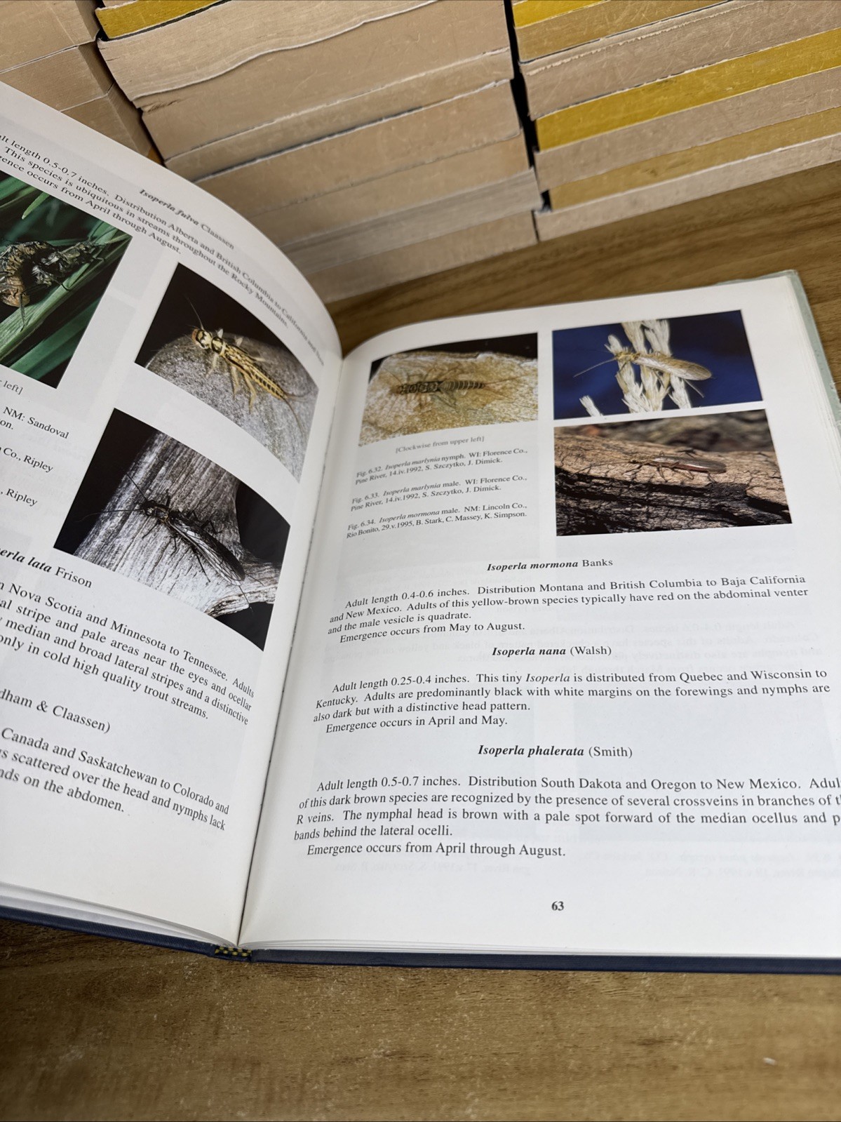 American stoneflies: A photographic guide to the Plecoptera by Bill P. Stark