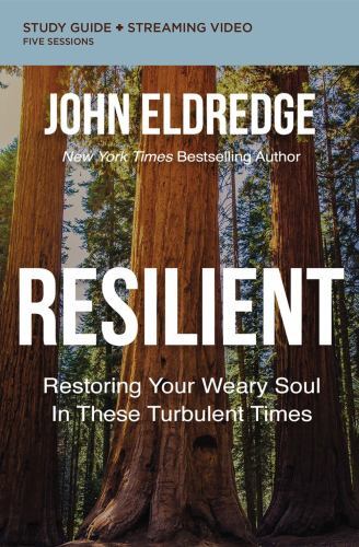 Resilient Bible Study Guide Plus Streaming Video: Restoring Your Weary Soul…