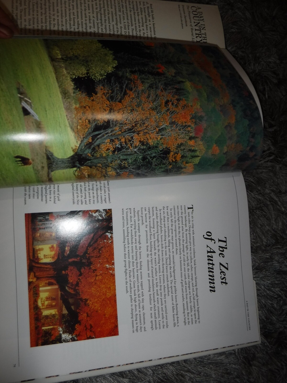 A Day In The Country – The Pleasures of Rural Life – Doranne Jacobson –