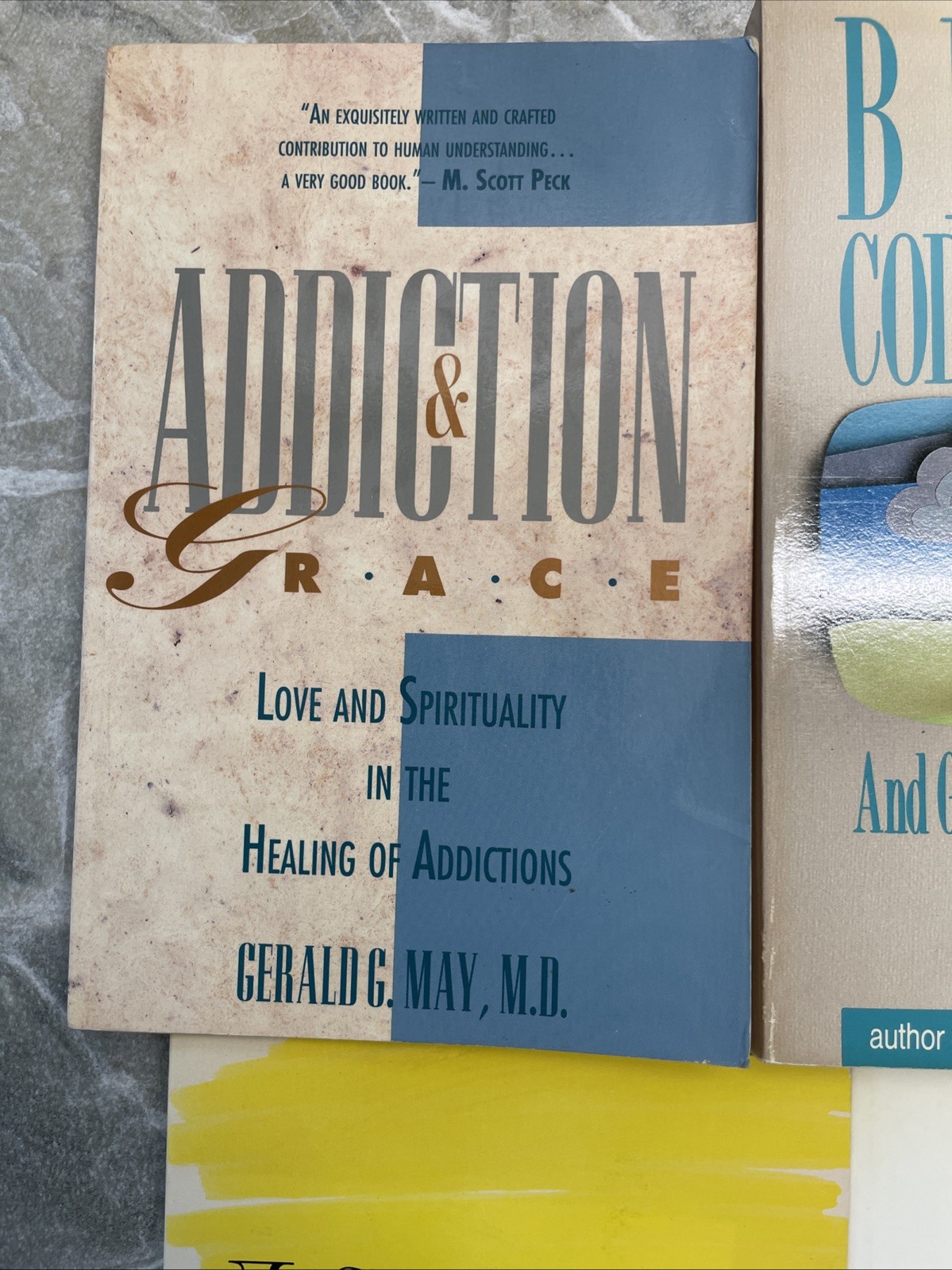 6 Books on Addiction Alcoholism Getting Sober PBK Beyond Codependency