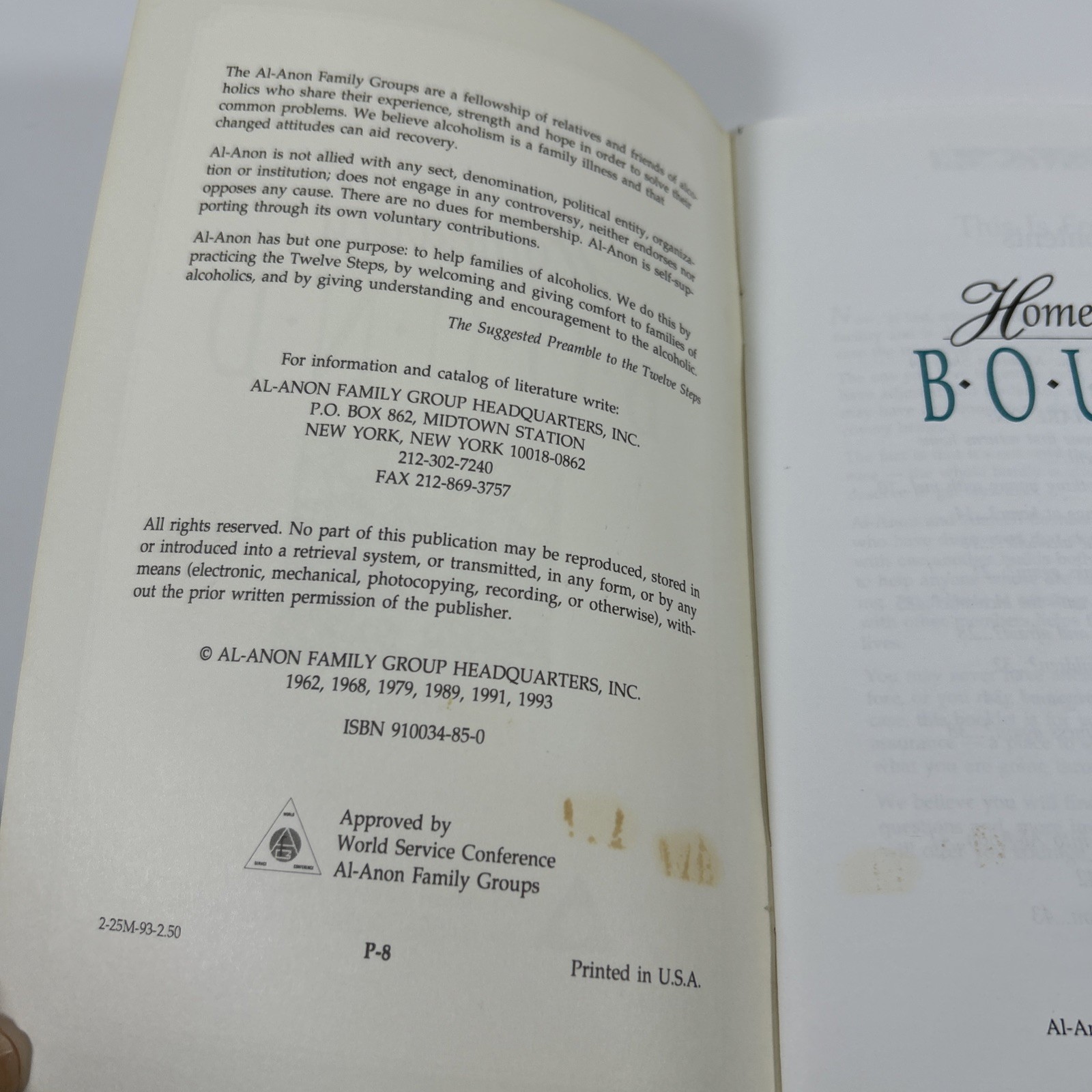 Homeward Bound by Al-Anon Family Group Headquarters, 1993, 48 pages