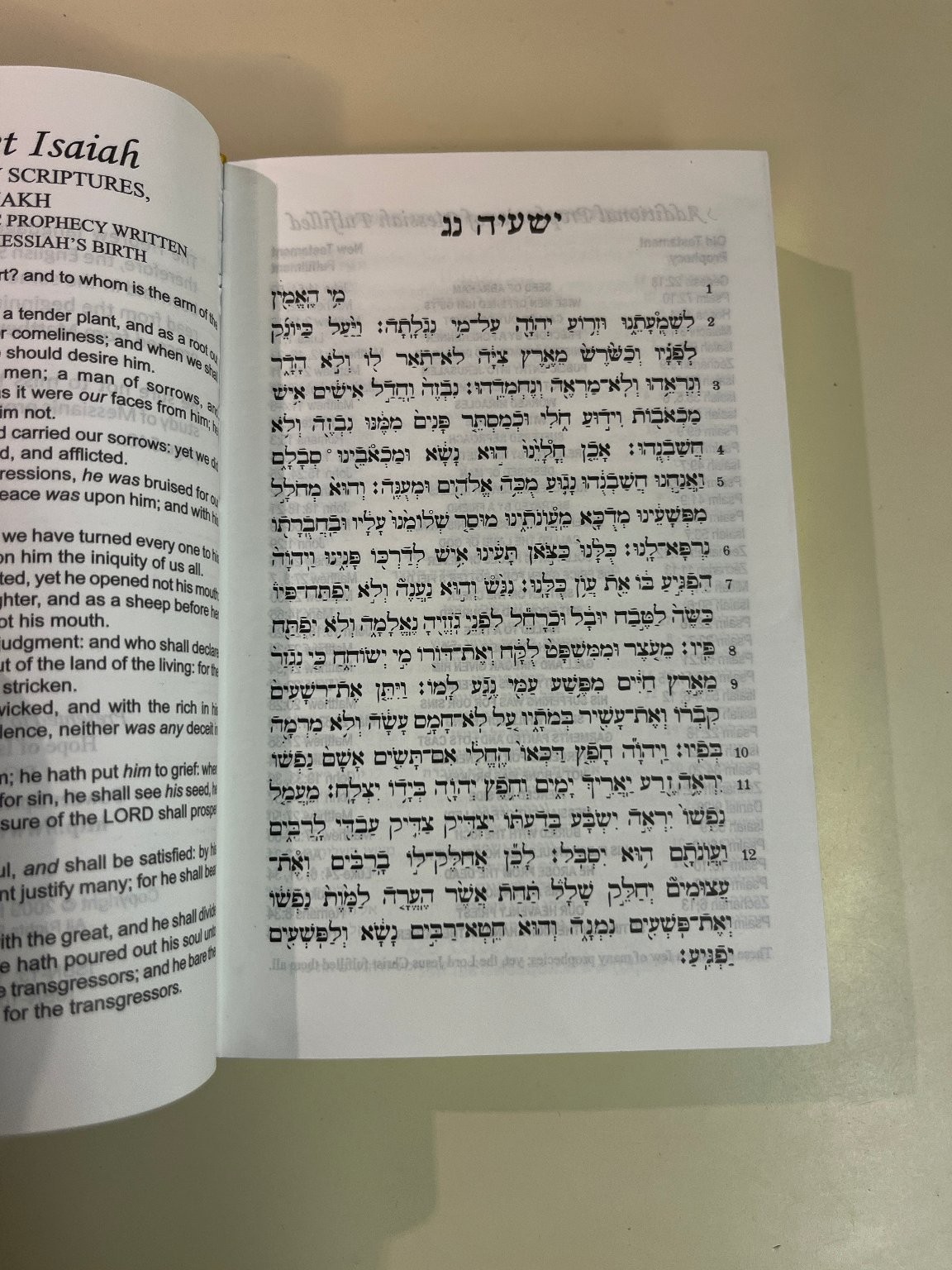 Hebrew-English New Covenant, Prophecy Edition, 2009, Hope of Israel Publications