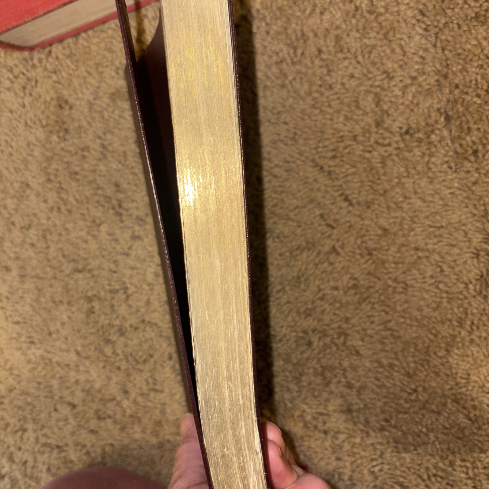 HOLY BIBLE Tyndale SLIMLINE Large Print 2004 BONDED LEATHER Burgundy NLT