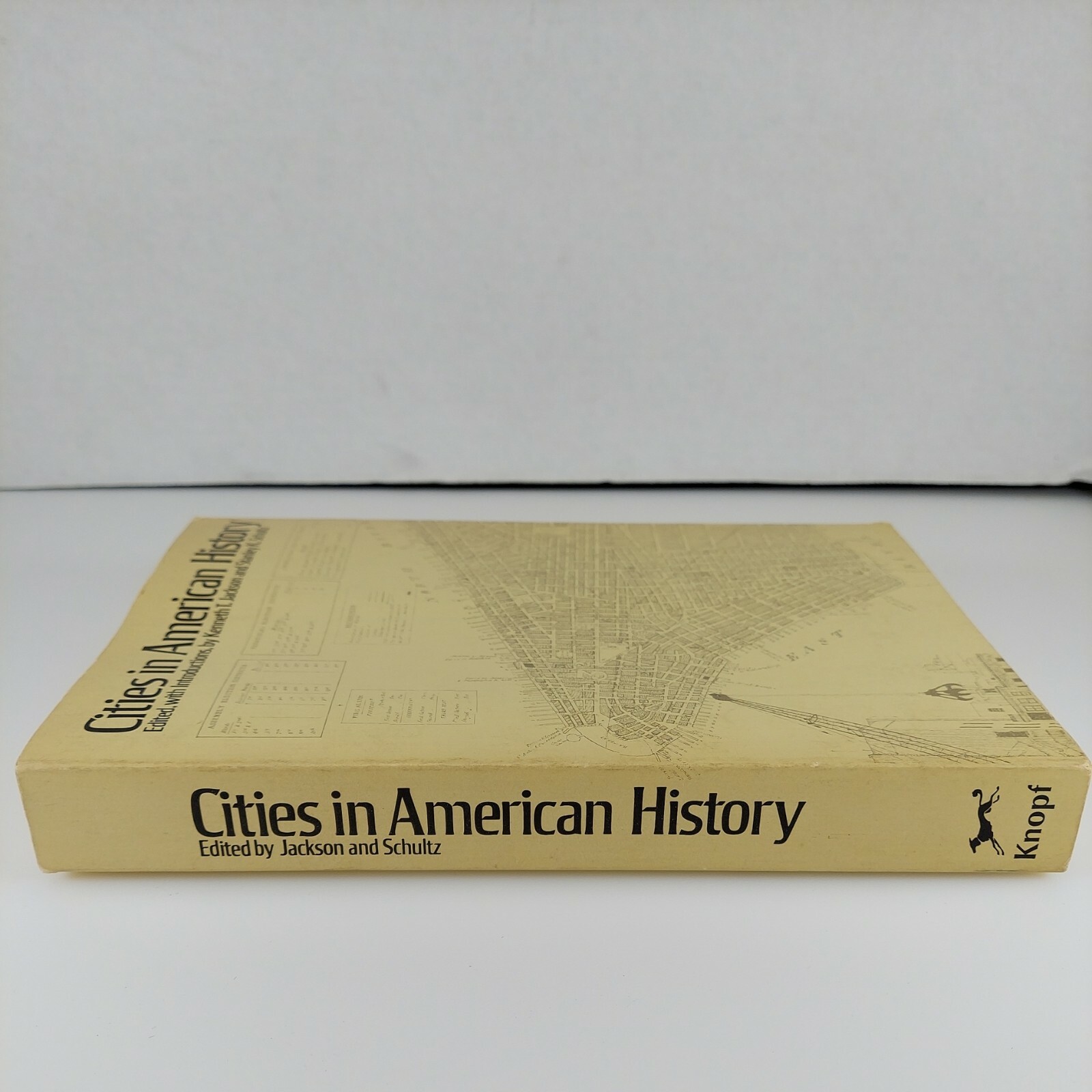 Cities in American History 1st Ed. Kenneth Jackson, Stanley Schultz PB 1972