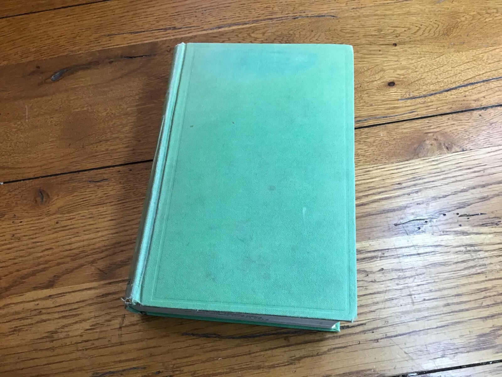 Andrew Jackson, An Epic In Homespun By Gerald W. Johnson 1927 HC