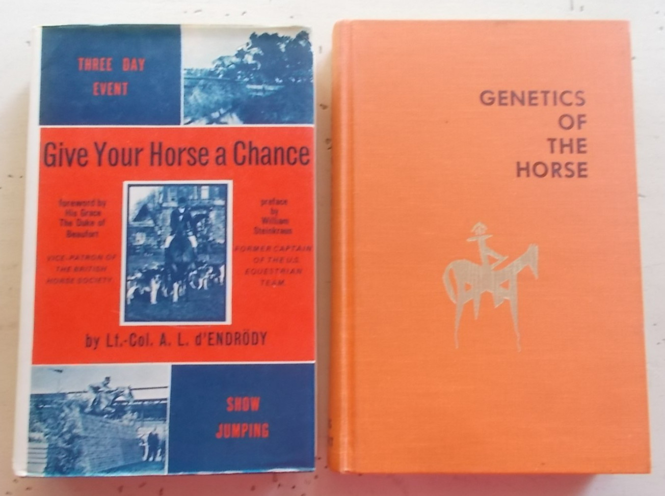 Lot 7 Vintage Horse Riding Books Techniques Vet Genetics Dressage 3-Day Jumping