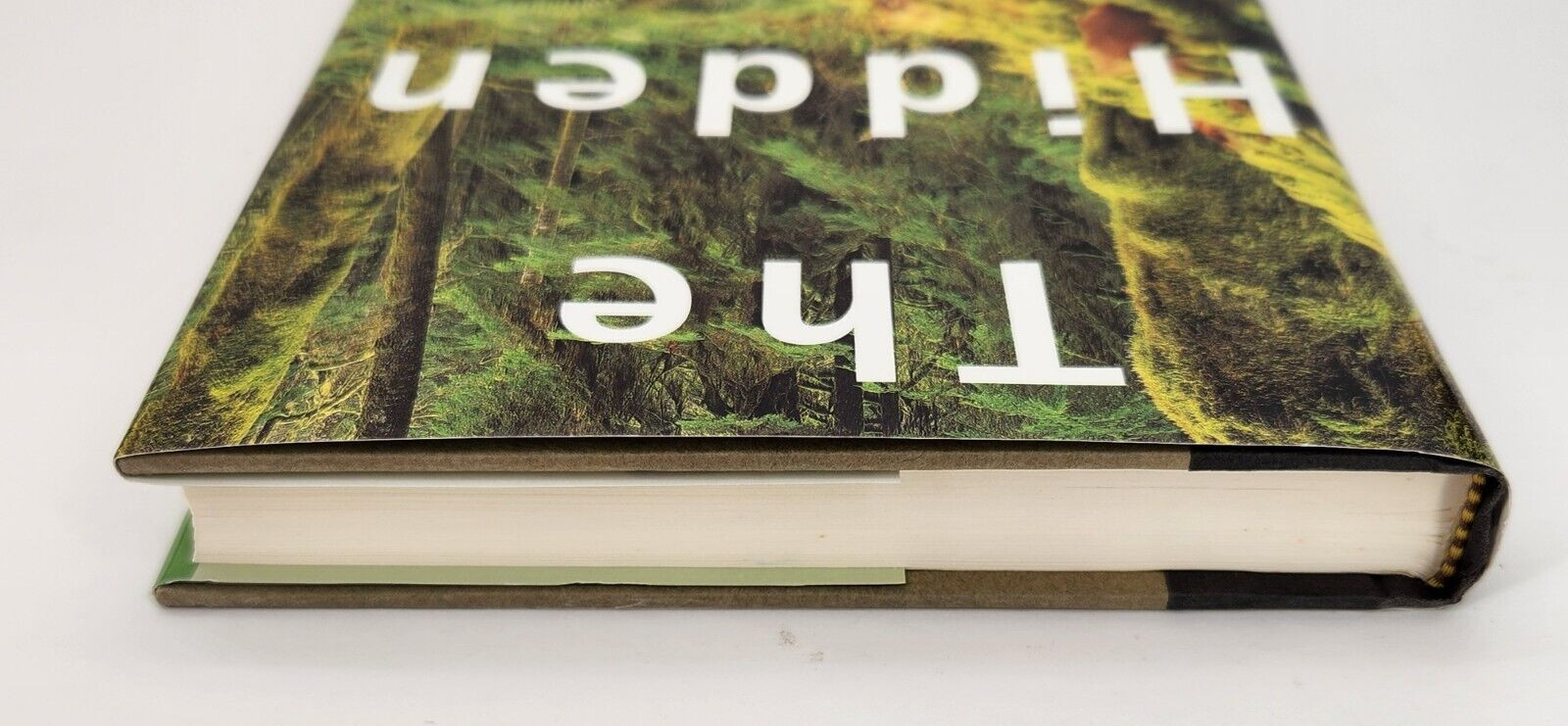 Hidden Forest : Biography of an Ecosystem by Luoma, Jon R. 1999 Hardcover
