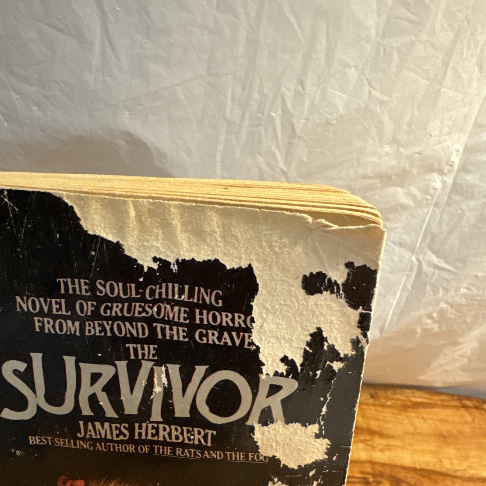 THE SURVIVOR 1977 PAPERBACK BOOK BY JAMES HERBERT