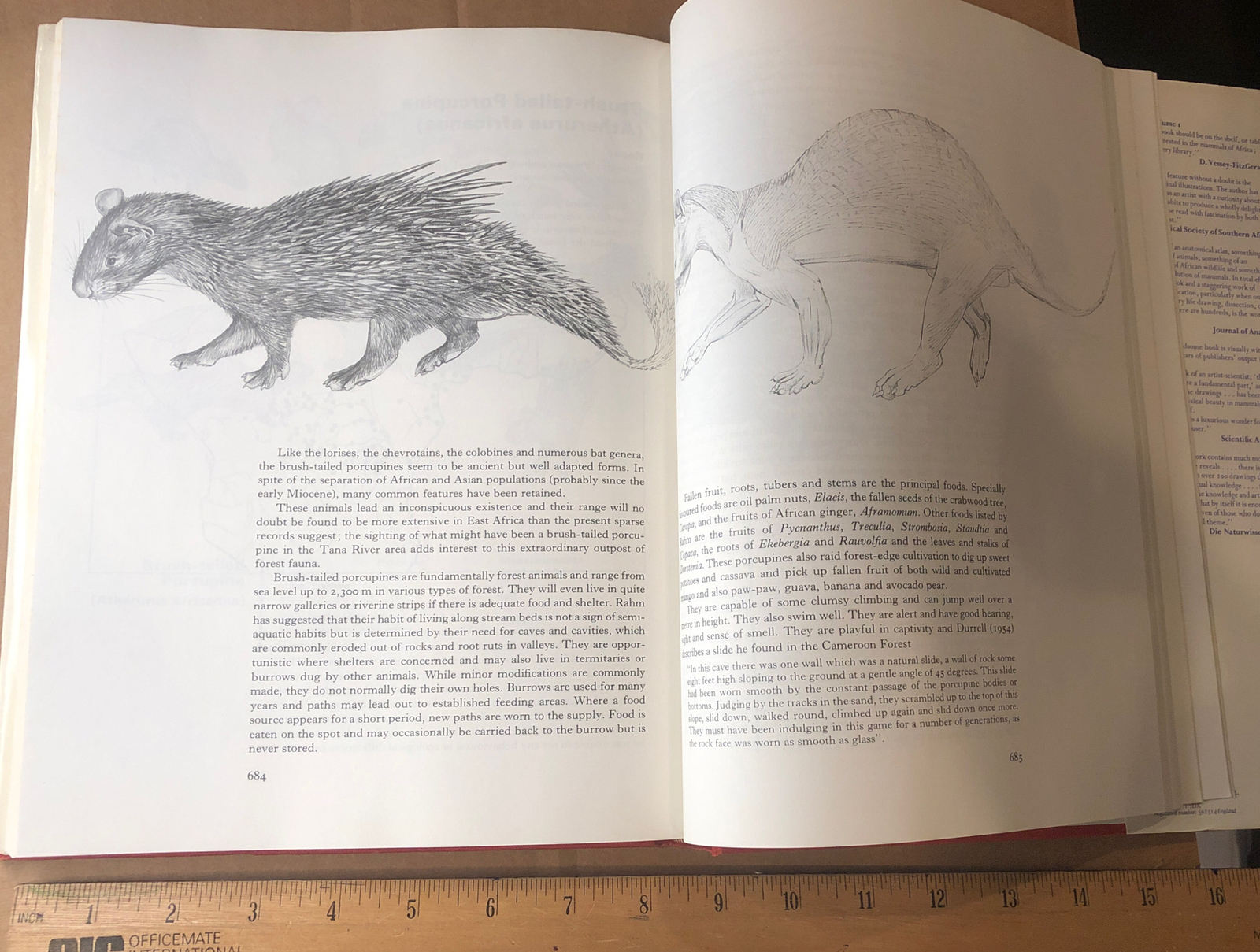 East African Mammals Volume IIB (1974 edition) By Jonathan Kingdon – Rare 