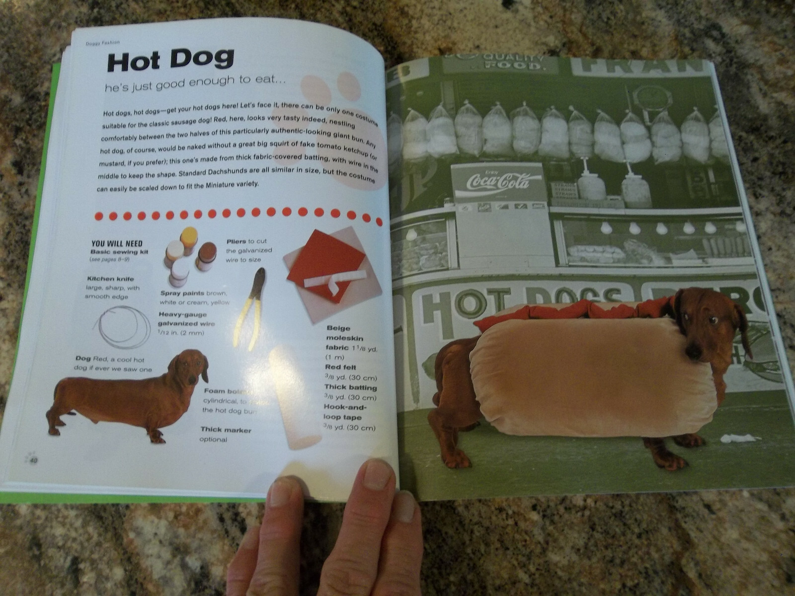 Doggy Fashion by Jenkins, Alison – Fancy Dress and Chic Costumes for The Dog in