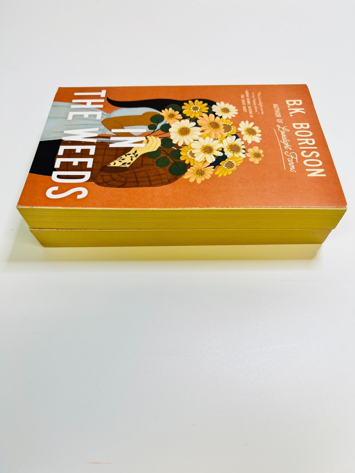 B. K. Borison Lot x 2 In the Weeds & Mixed Signals Paperbacks