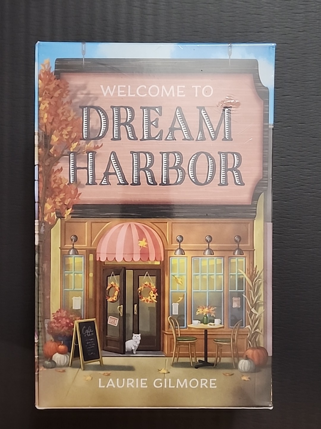 📚SEALED – Welcome to Dream Harbor – 4 Book Collection – Laurie Gilmore 📚