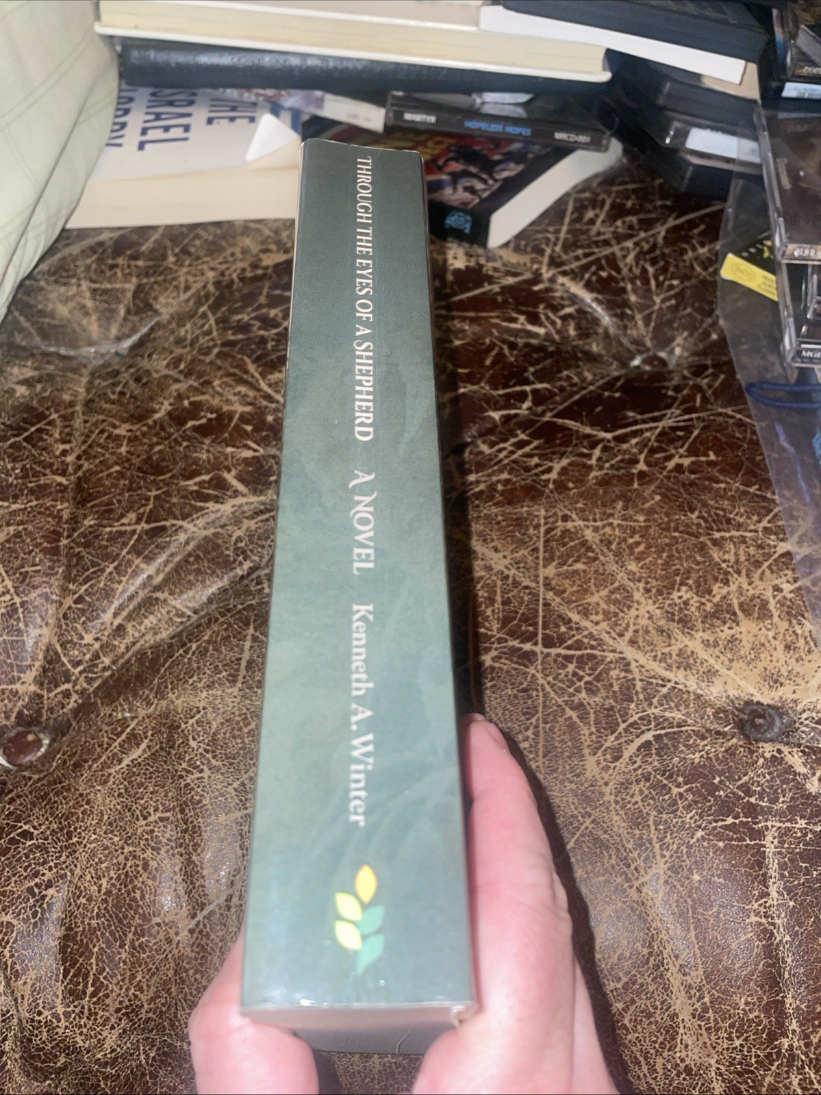 THROUGH THE EYES OF A SHEPHERD (LARGE PRINT EDITION) By Kenneth Winter PB